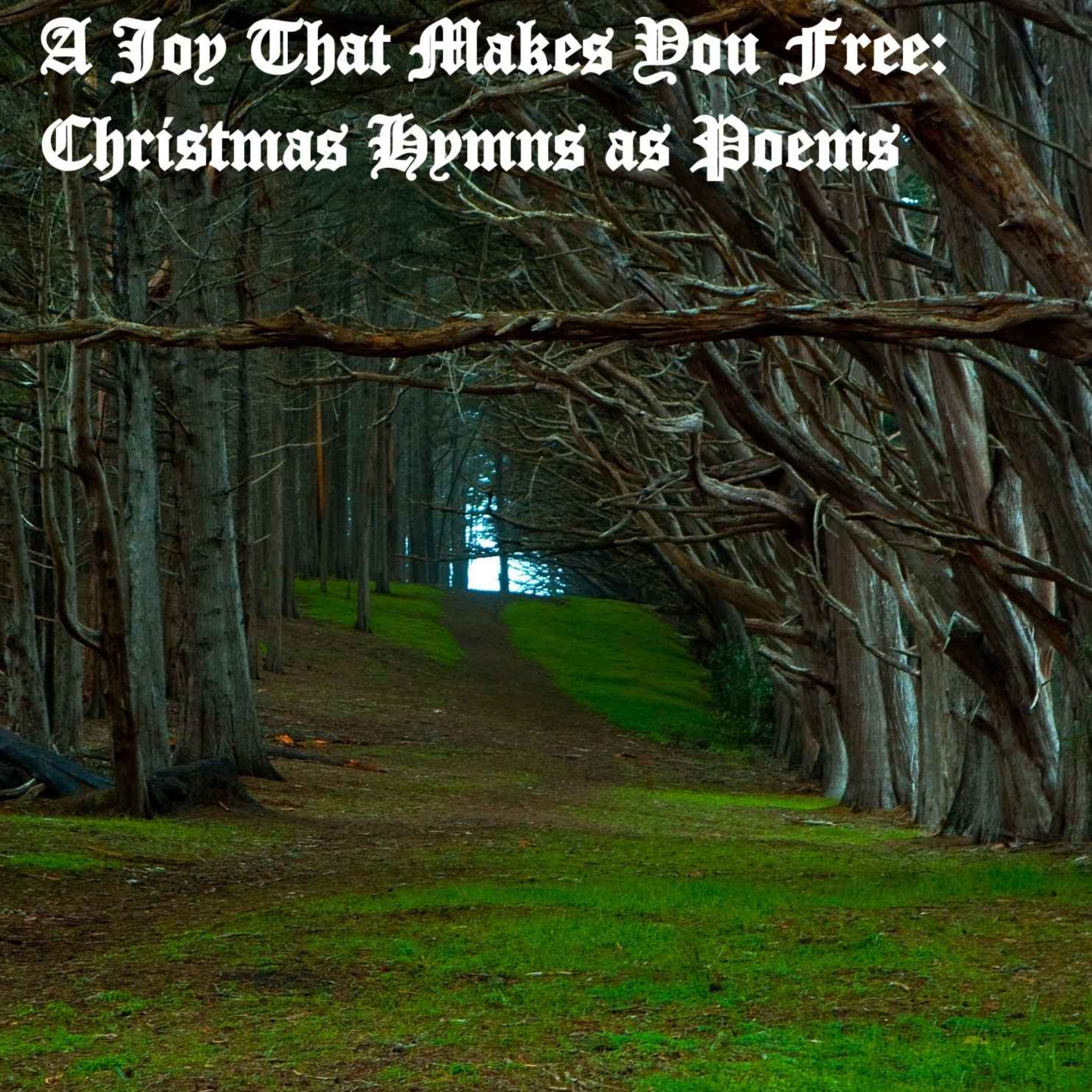 A Joy That Makes You Free: Christmas Hymns as Poems