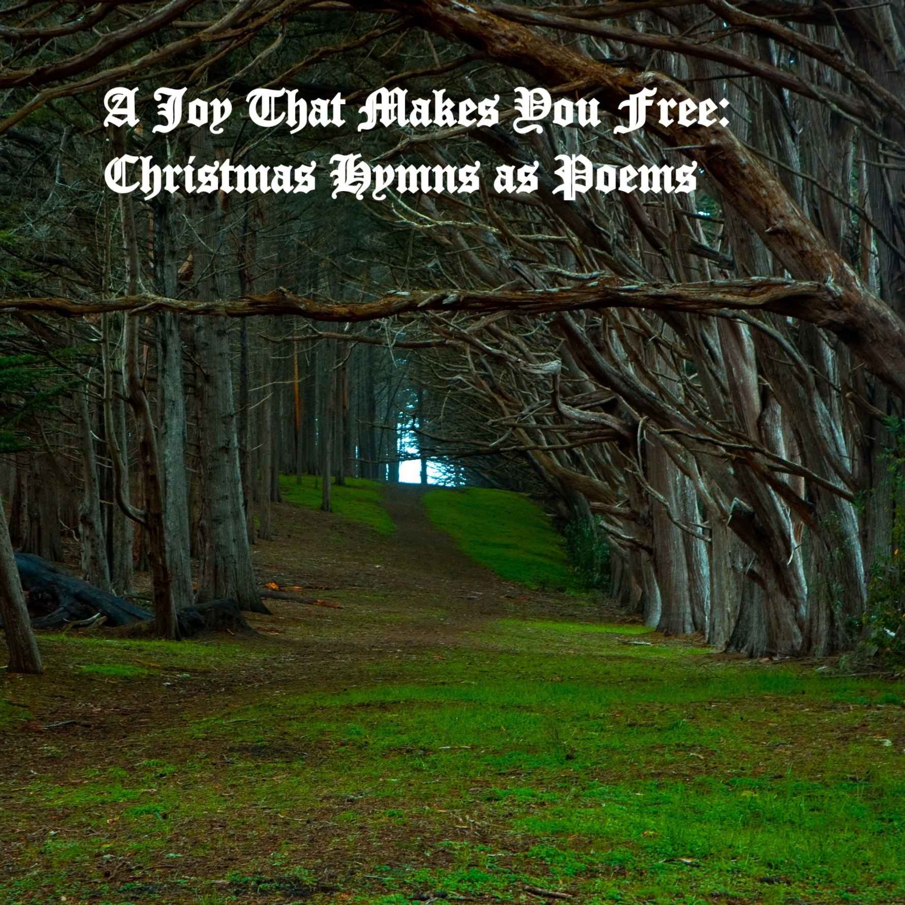 A Joy That Makes You Free: Christmas Hymns as Poems