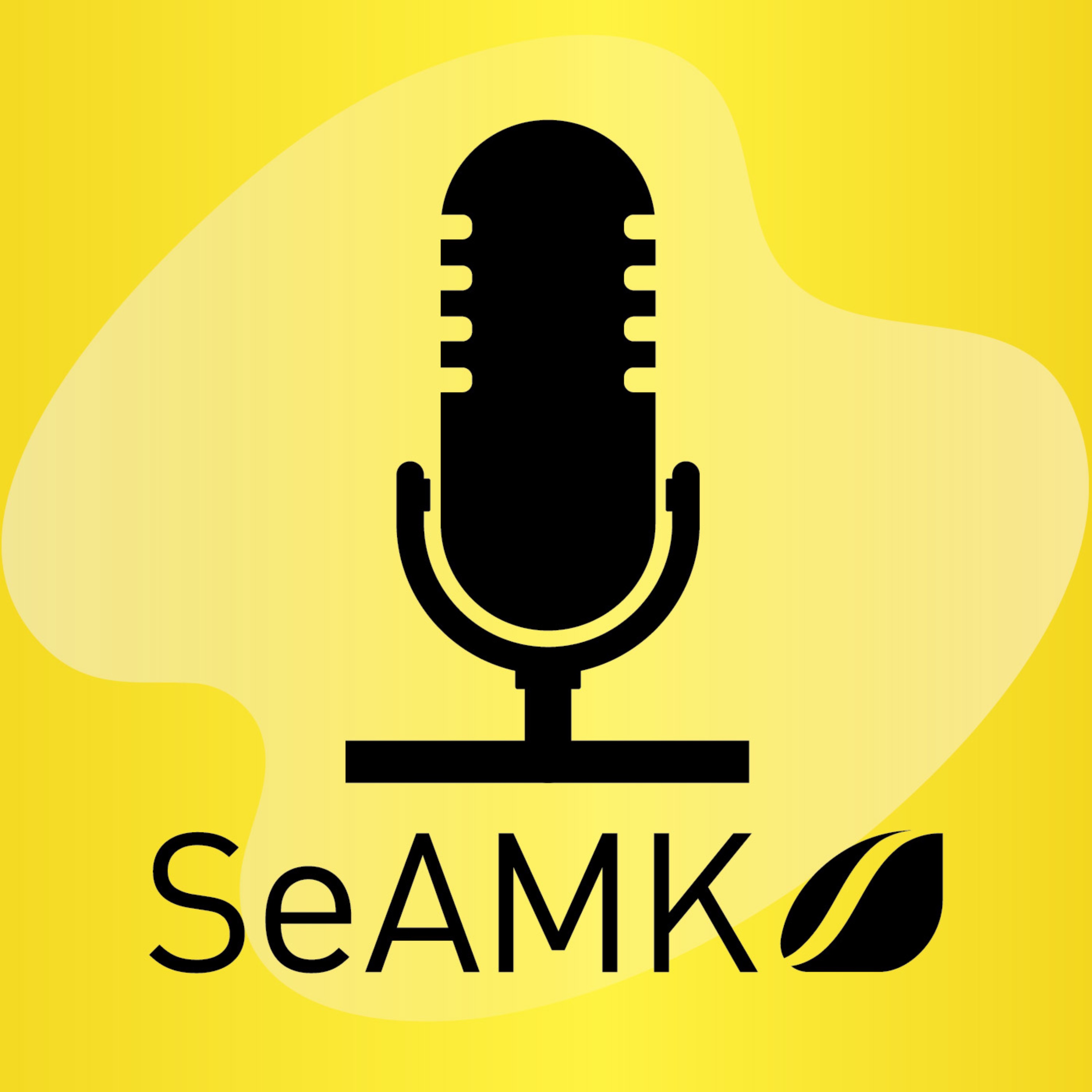 cover art for SeAMK Podcast - Korkeakoulutuksen alueellinen epätasa-arvoisuus