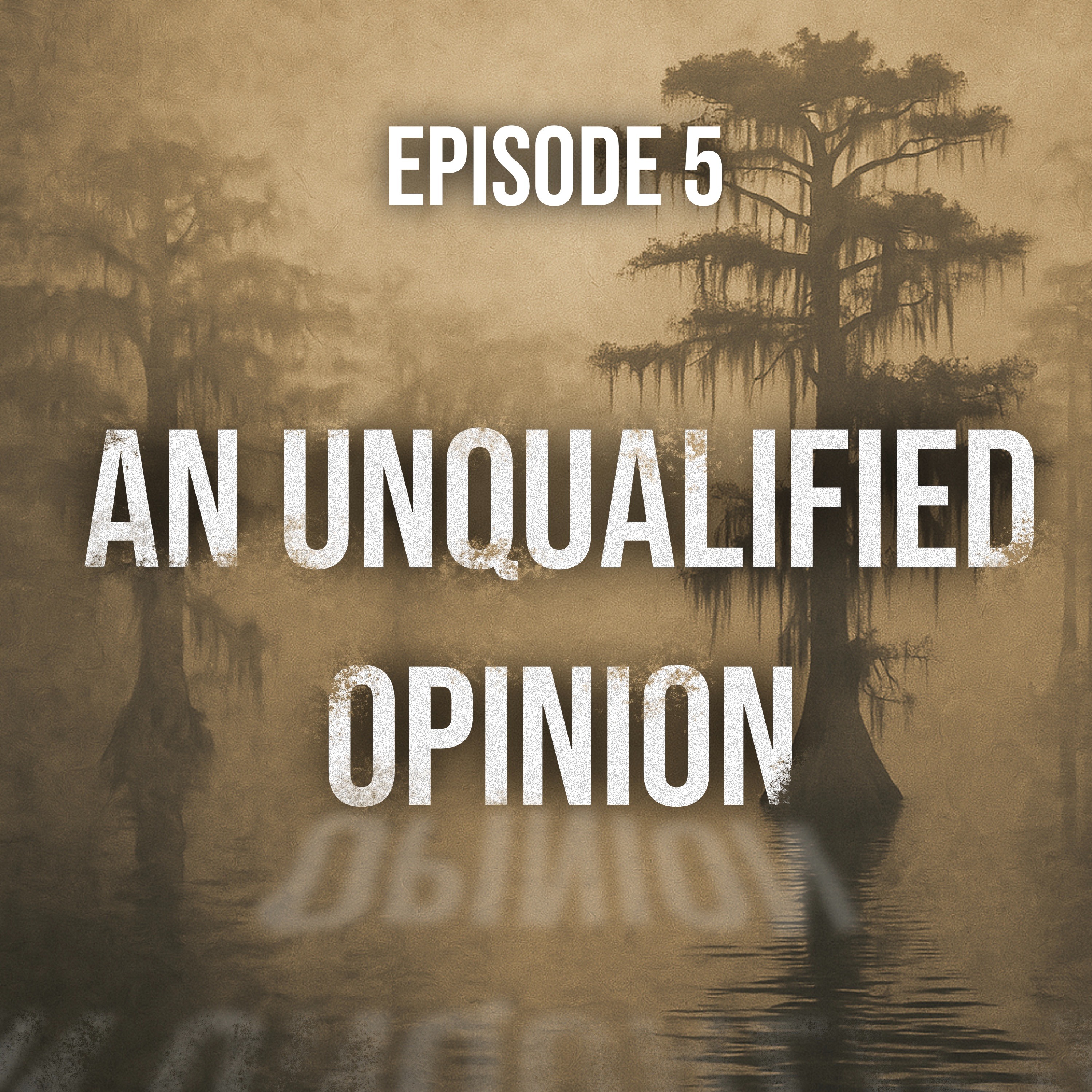 Echoes from the Bayou P5 - Dwight Bergeron