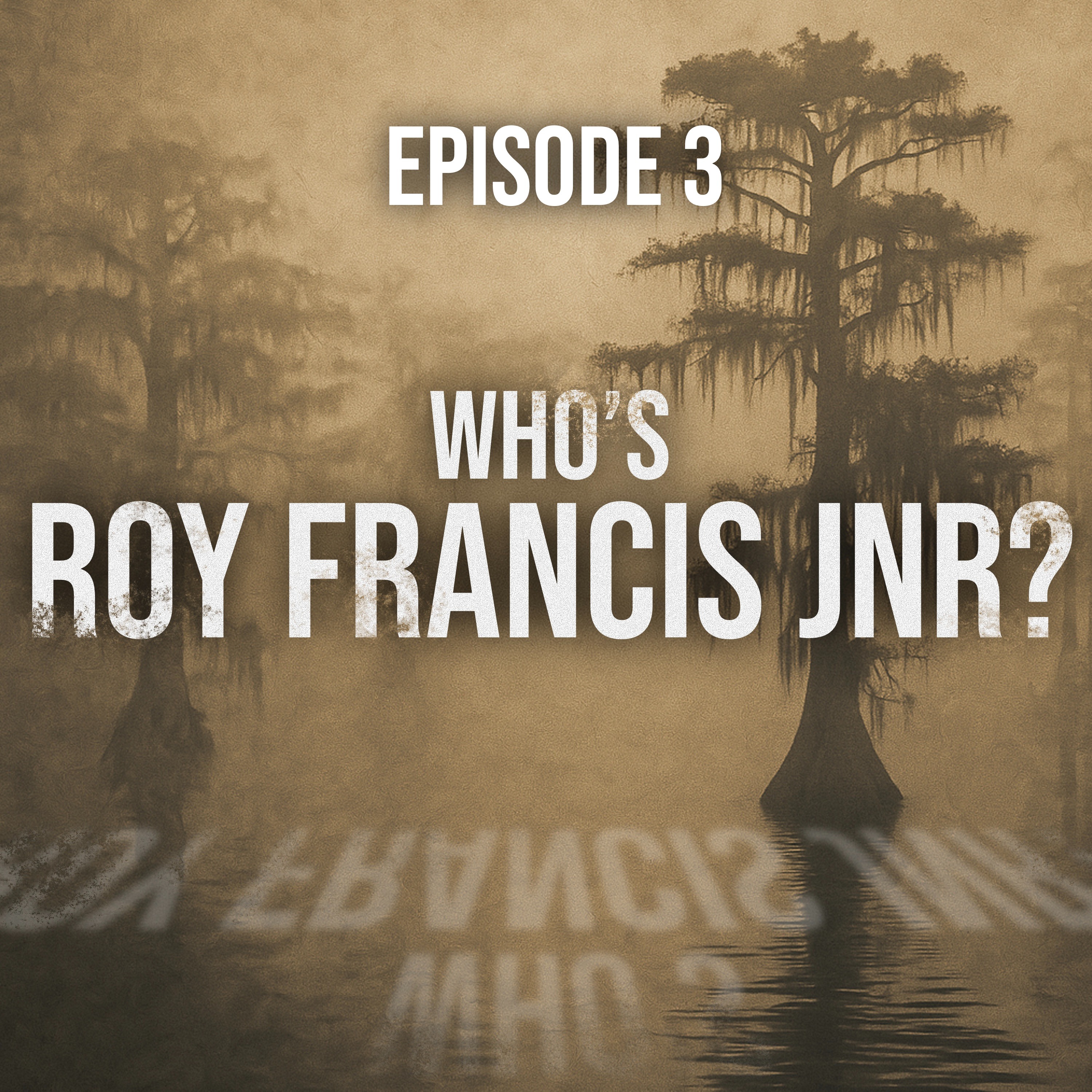 Echoes from the Bayou P3 - Dwight Bergeron