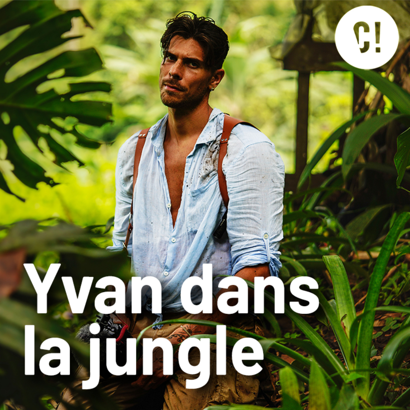 Yvan dans la jungle - A la recherche du coati
