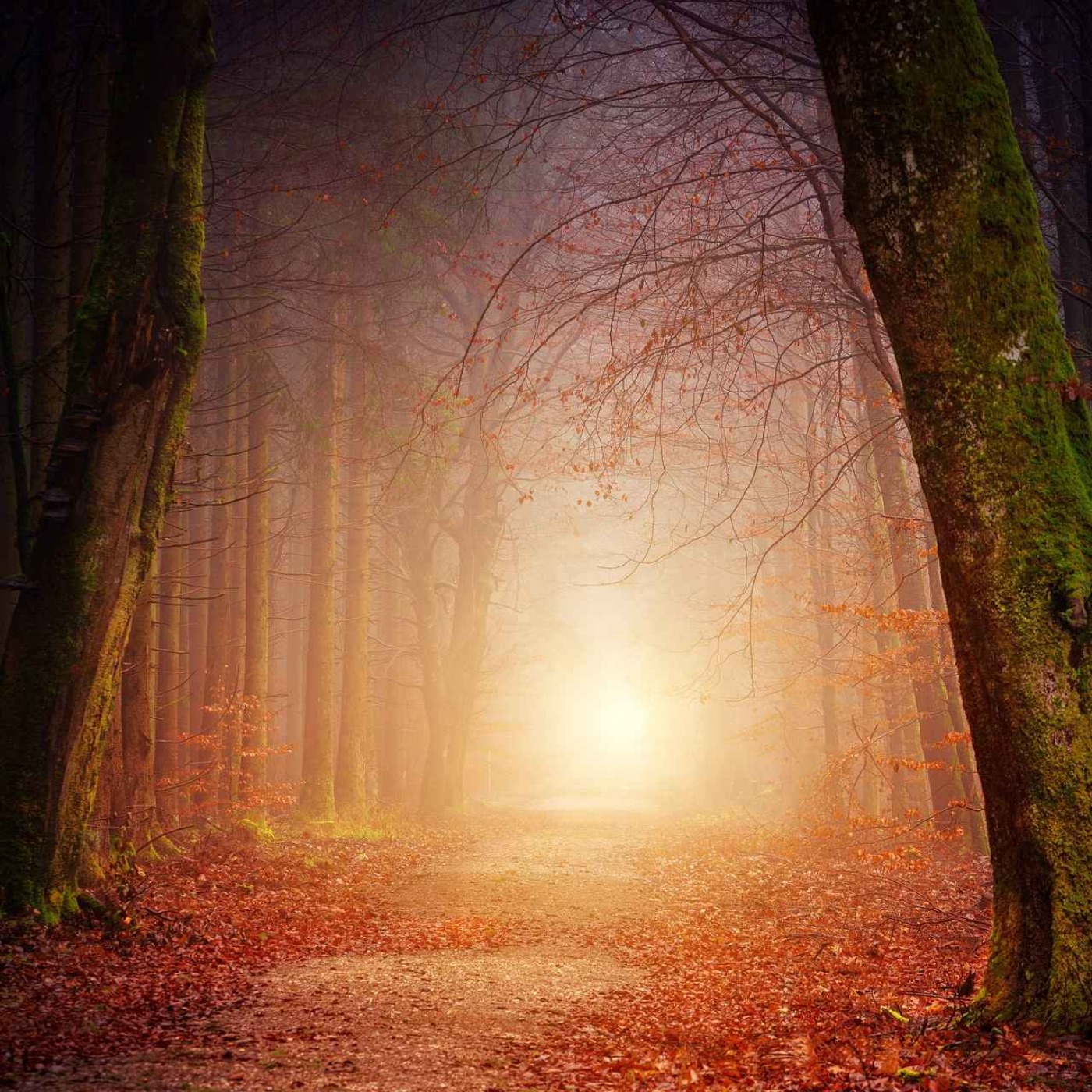 Pratiques spirituelles de l'équinoxe d'automne