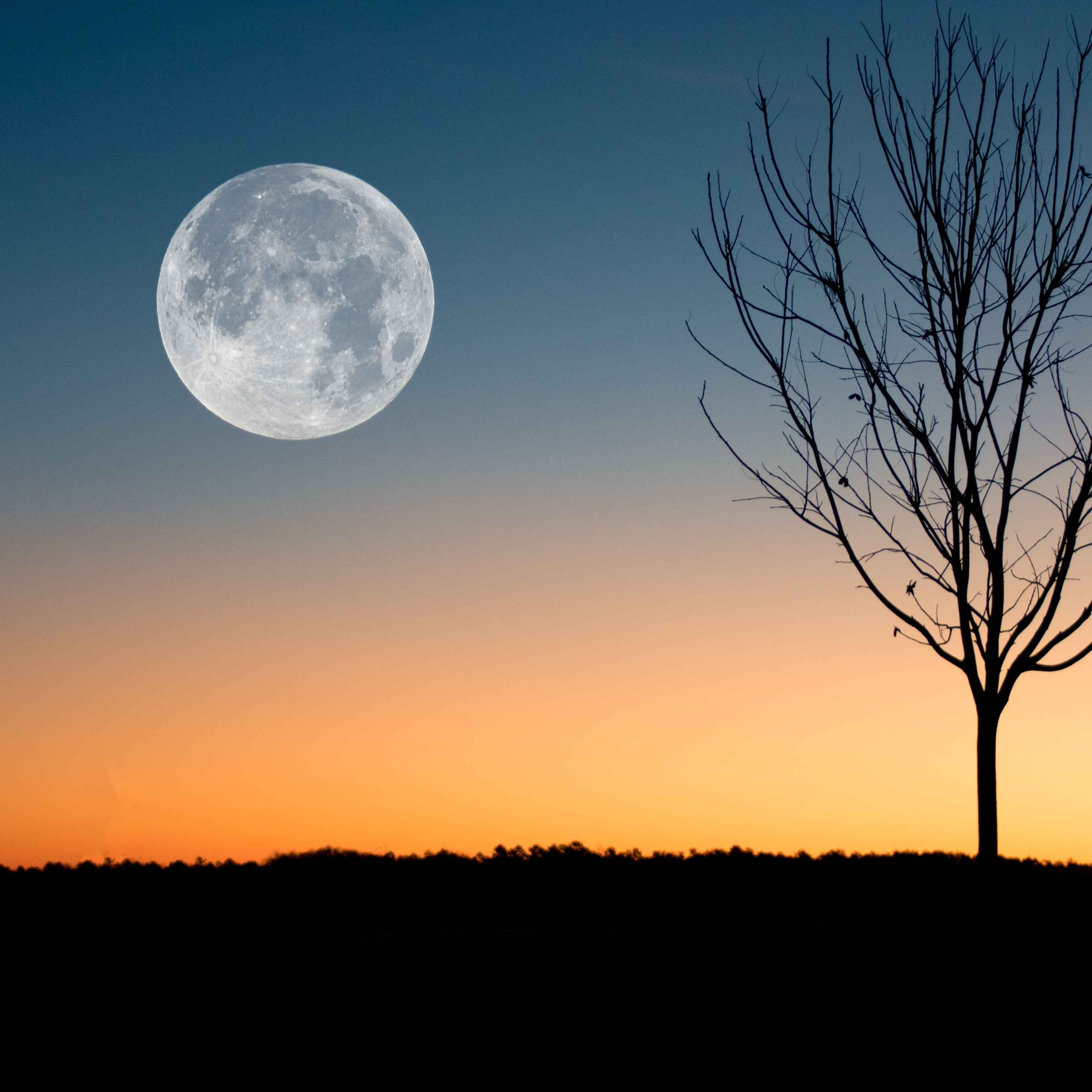 La pleine lune en Gémeaux - décembre 2022