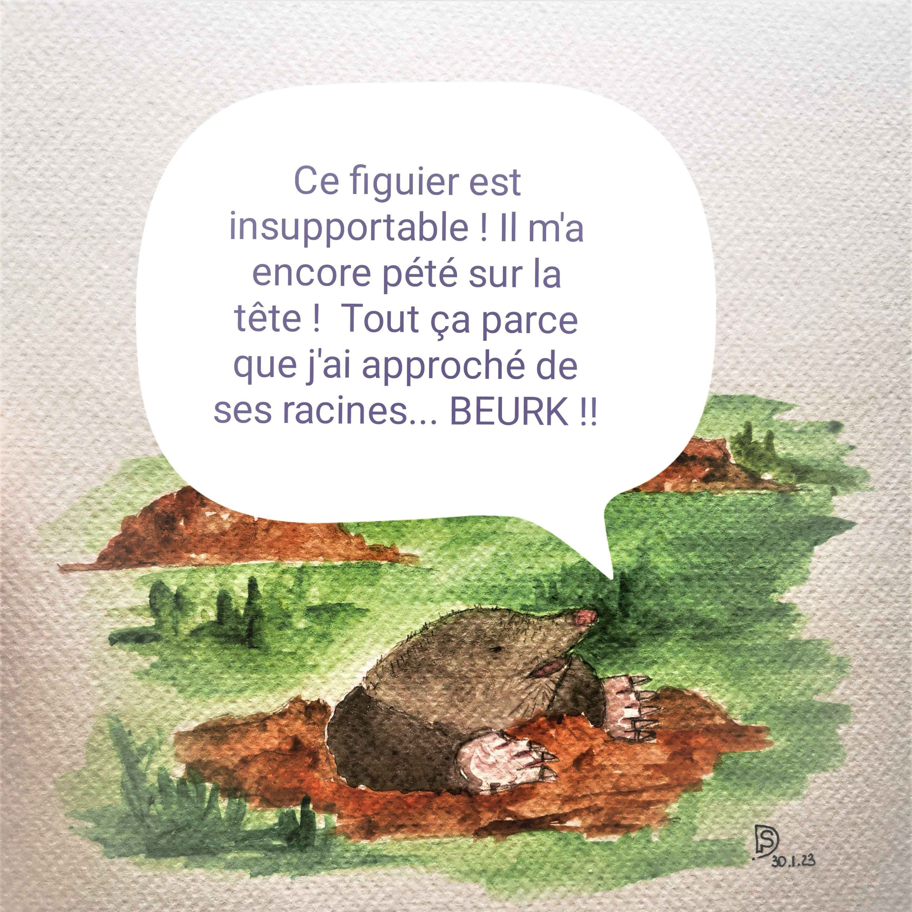 Une histoirette