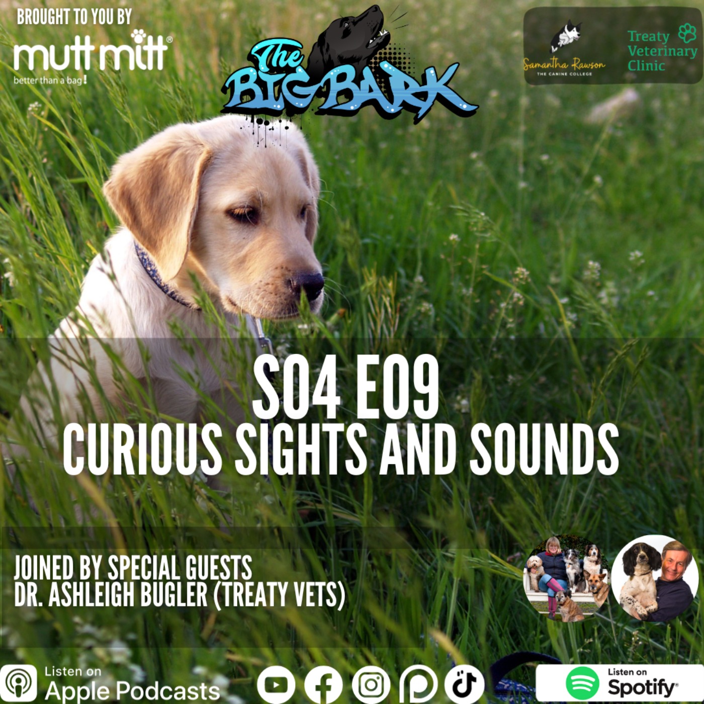 cover art for The Big Bark - S04 E09 Episode #69 - Curious sights & Sounds - Importance of looking after your dogs eyes and ears