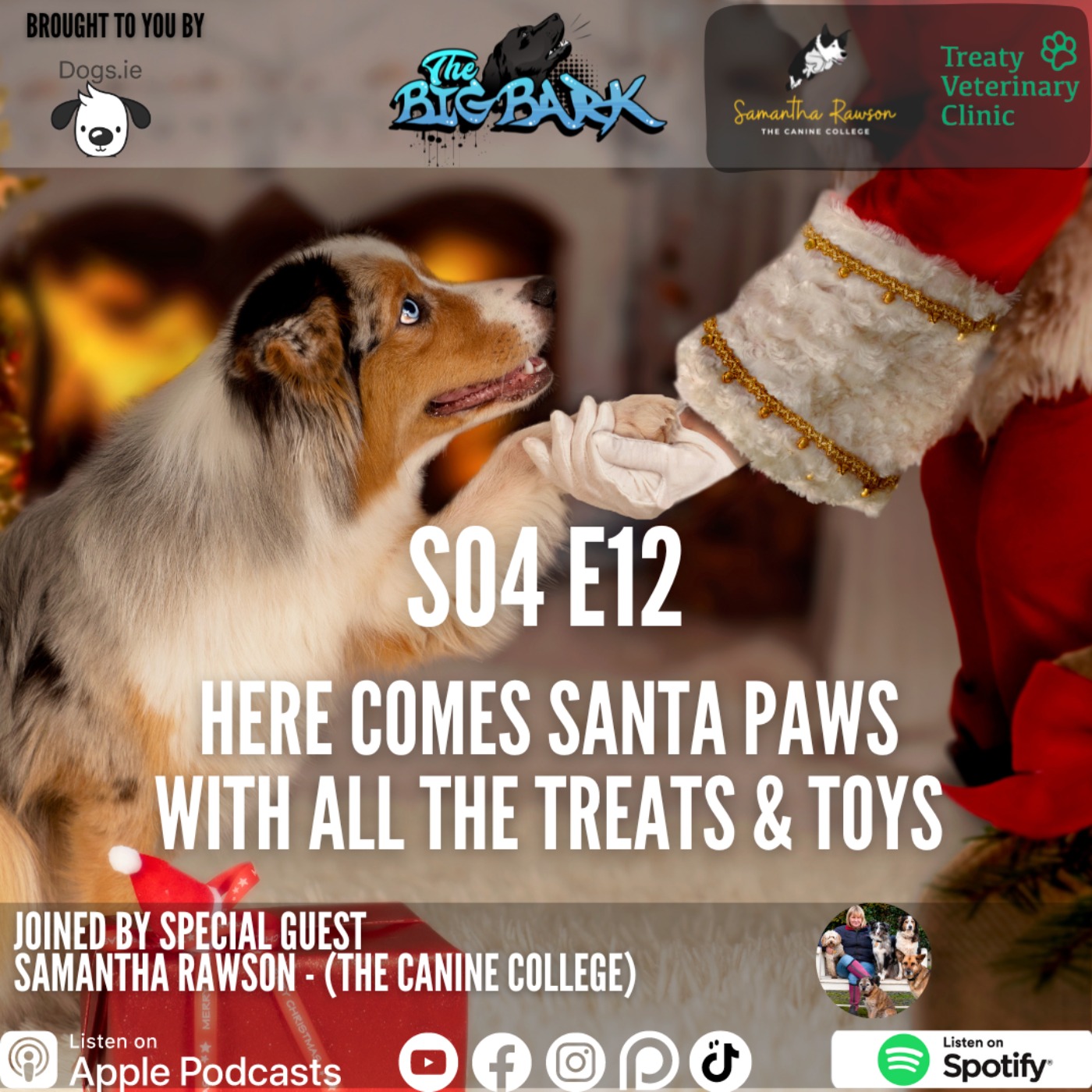 cover art for The Big Bark - Episode #72 - Here comes Santa Paws with all the treats and Toys