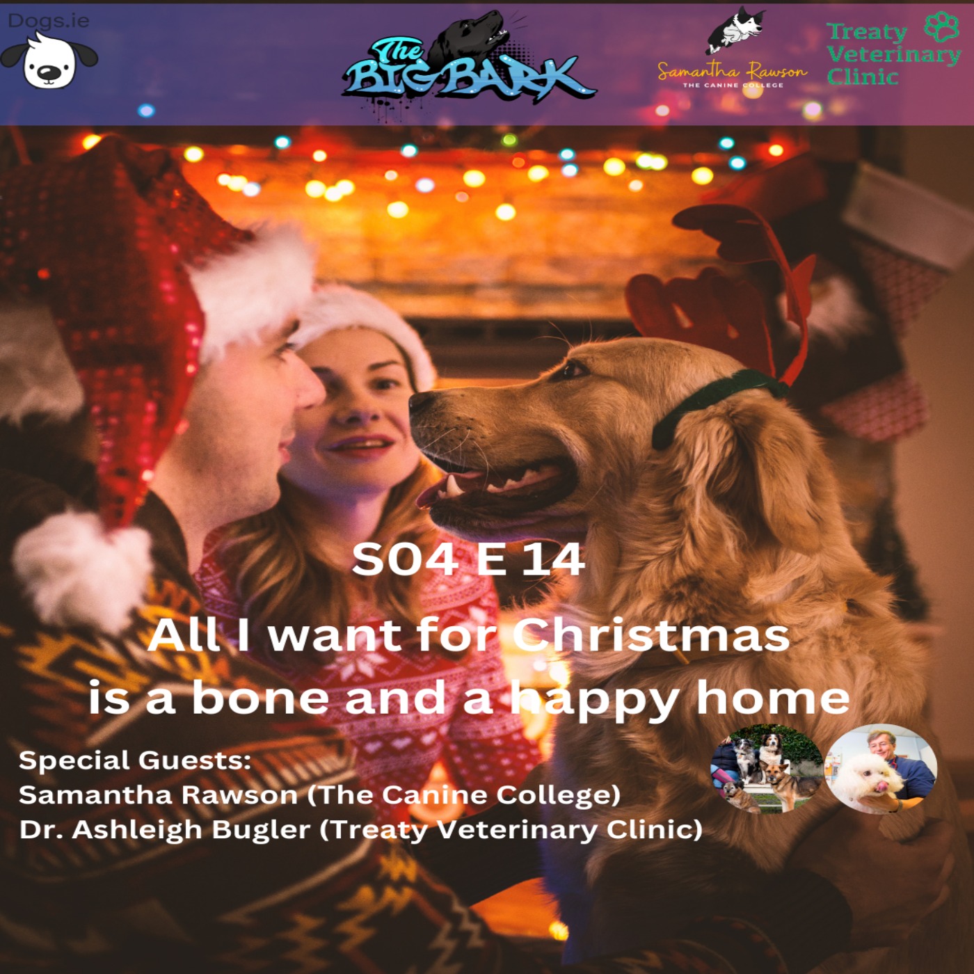 cover art for The Big Bark S04 E 14- Episode #74 - All I want for Christmas is a bone and a happy home