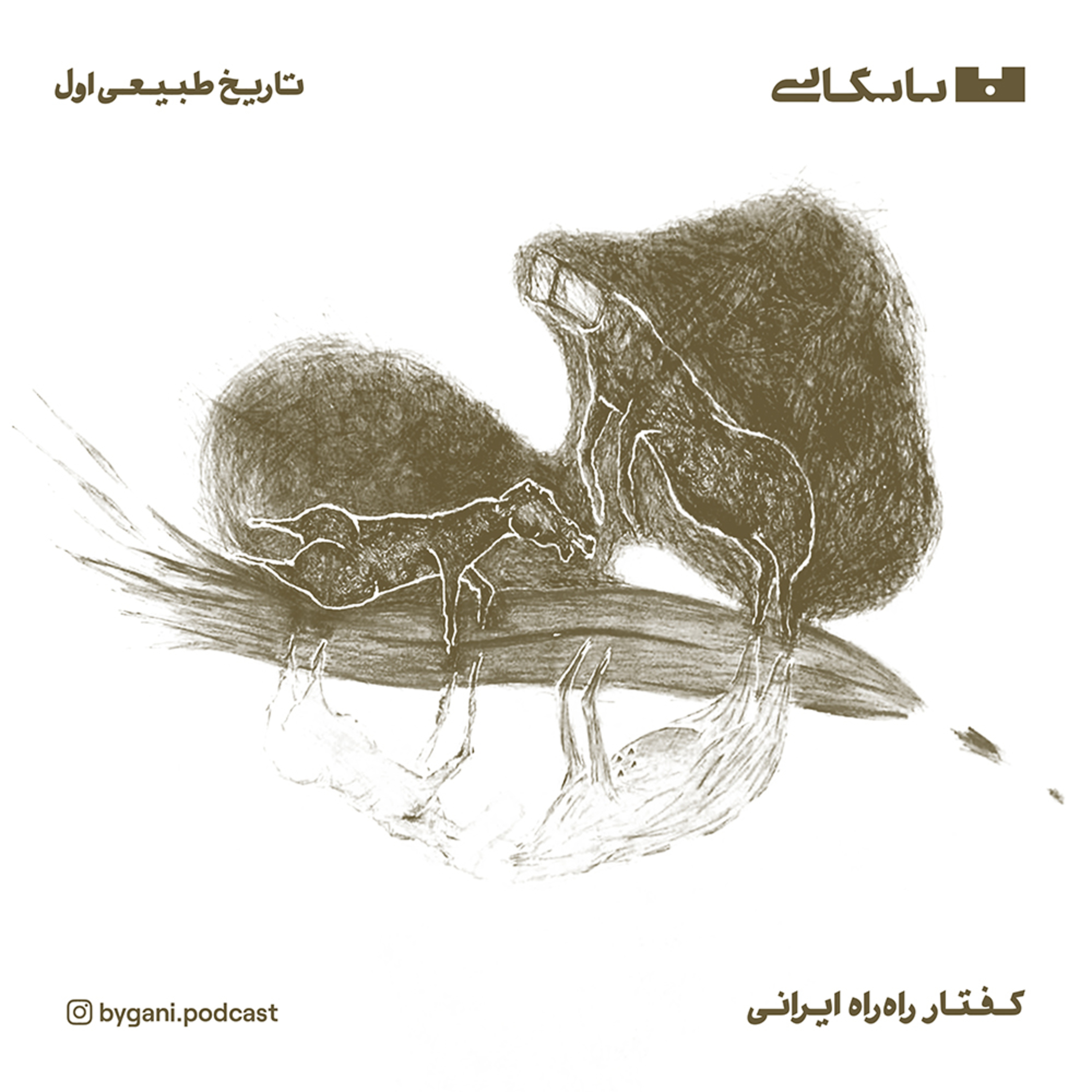 تاریخ طبیعی اول. کفتار راه راه ایرانی