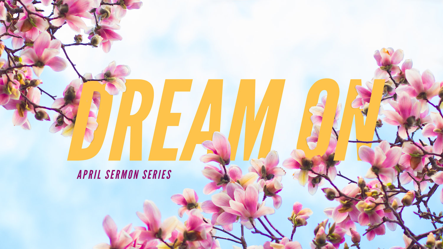 Dream On Wk 2 episode artwork