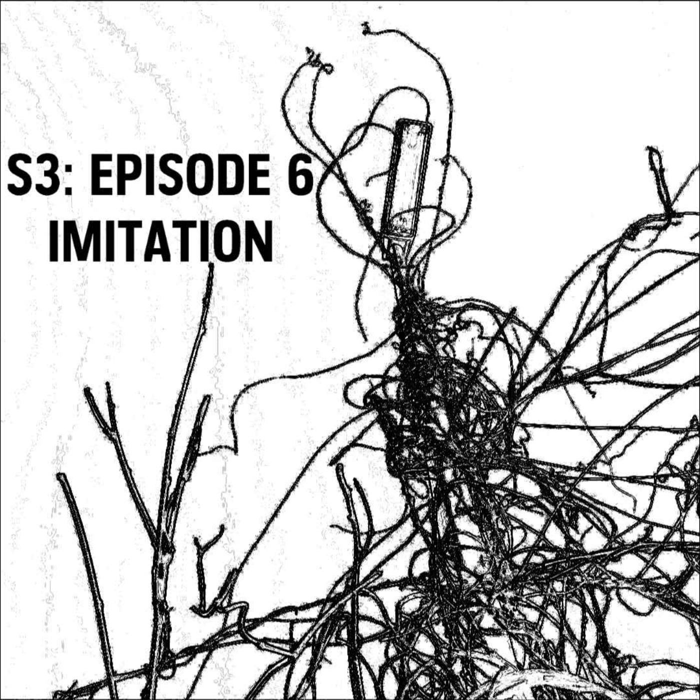 cover art for S3: E06 - Imitation