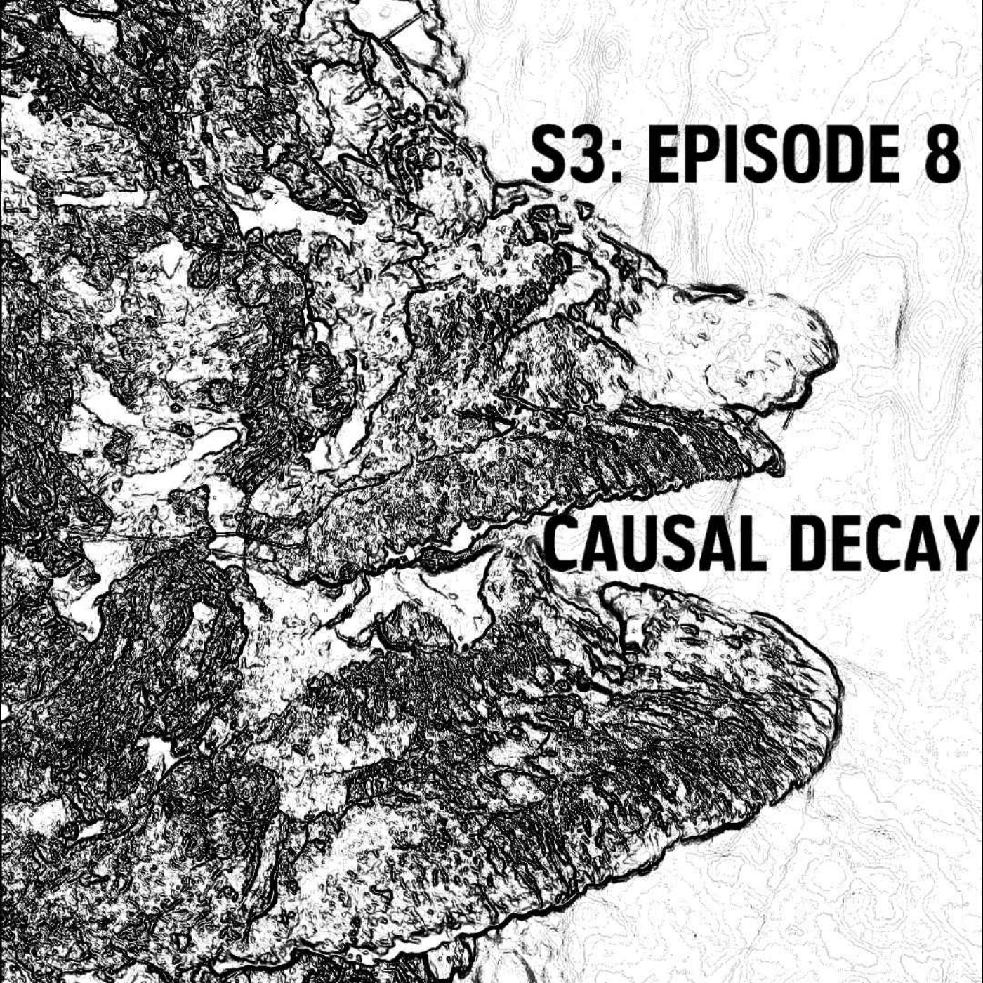 cover art for S3: E08 - Causal Decay