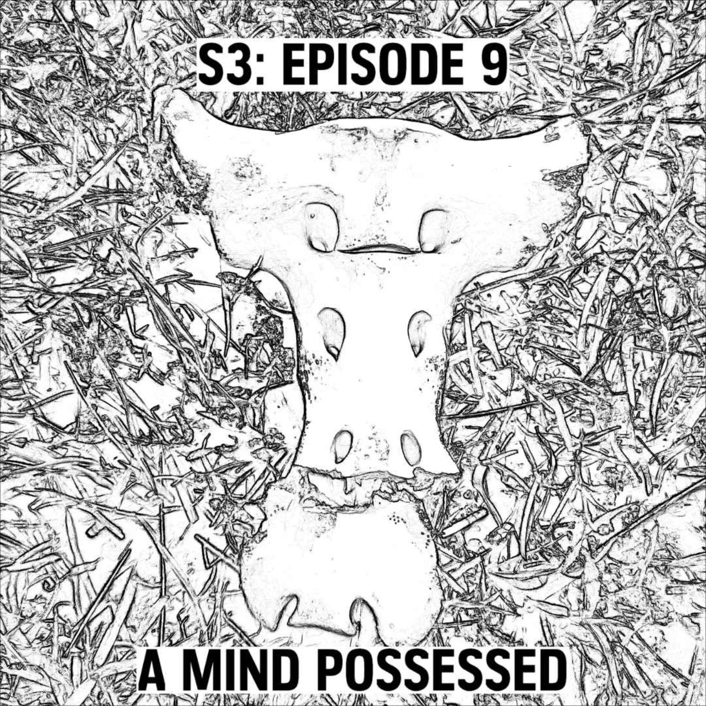 S3: E09 - A Mind Possessed