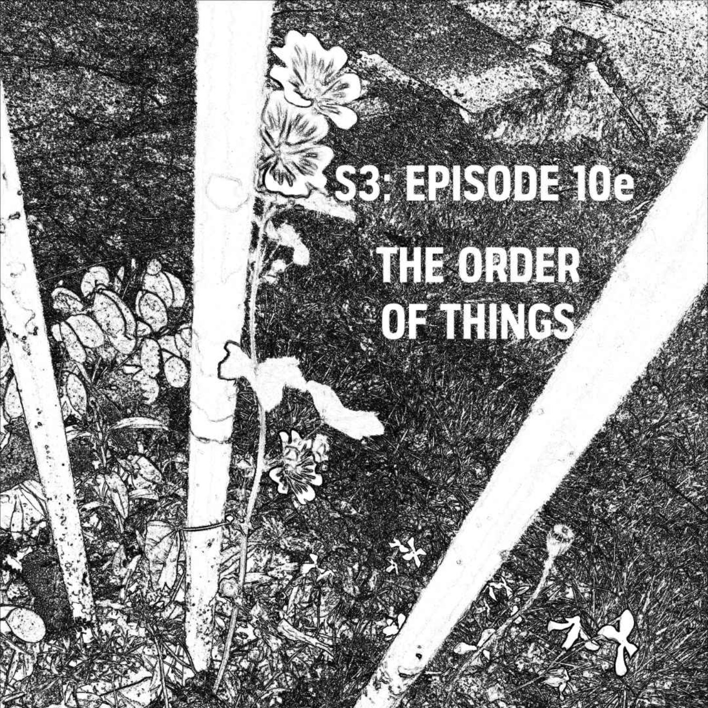 S3: E10e - The Order Of Things