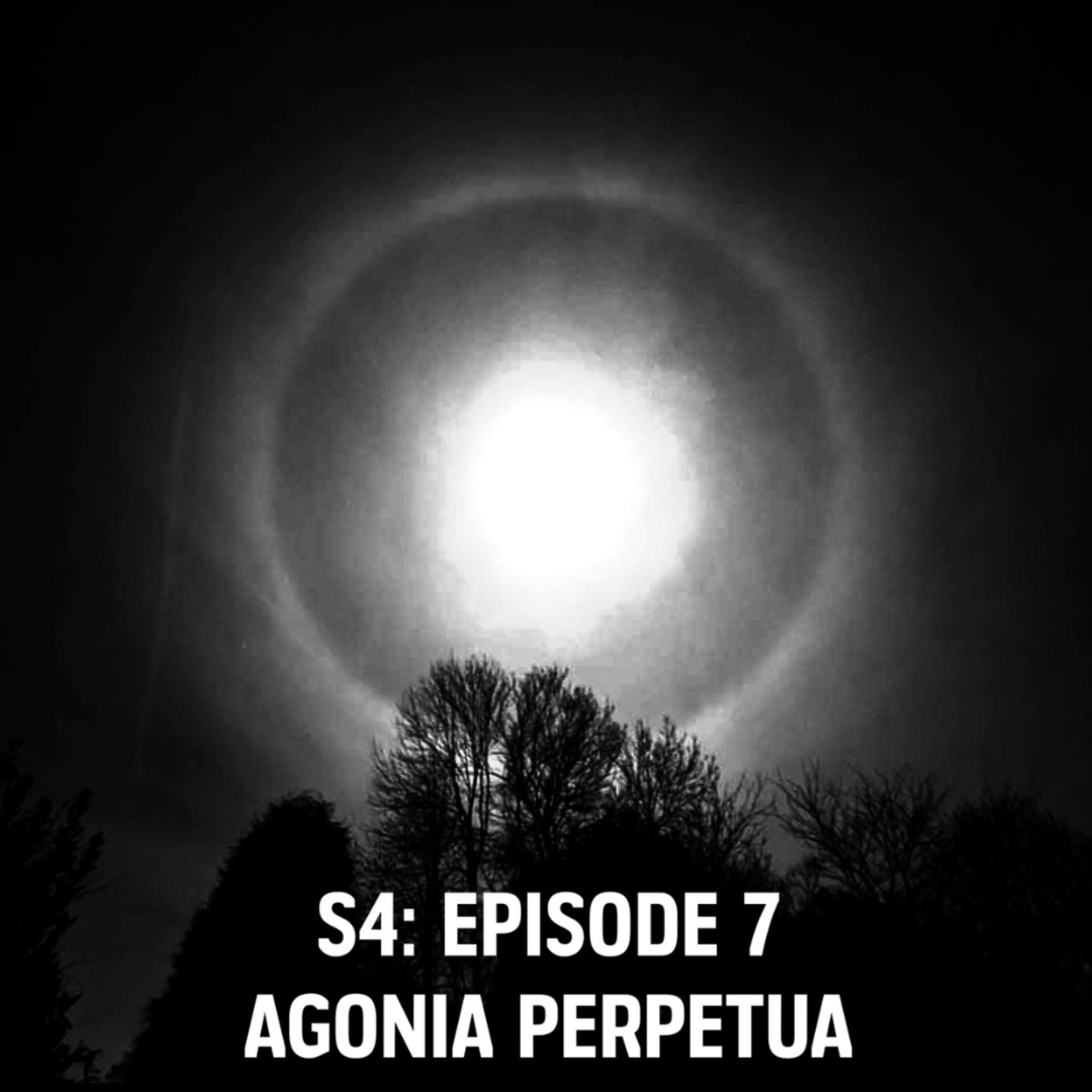 S4: E07 - Agonia Perpetua