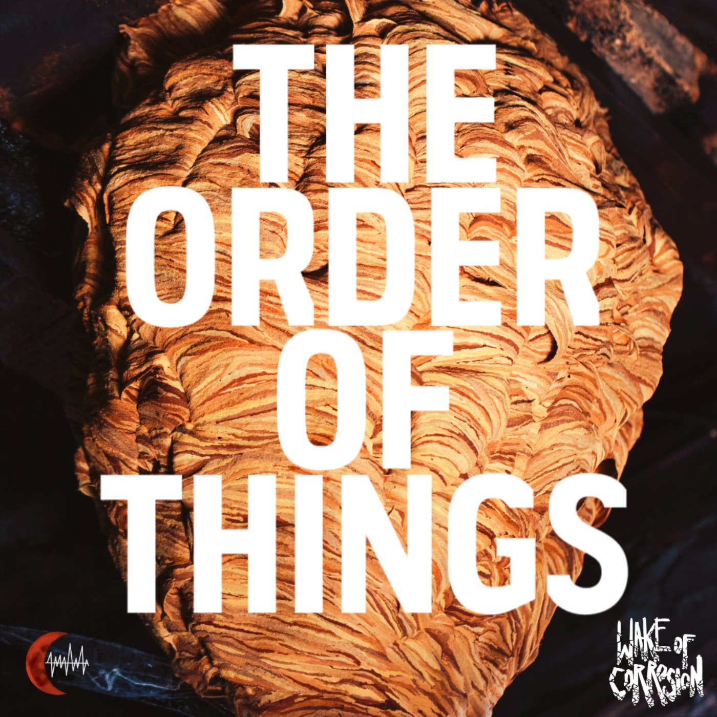 The Order Of Things - 4