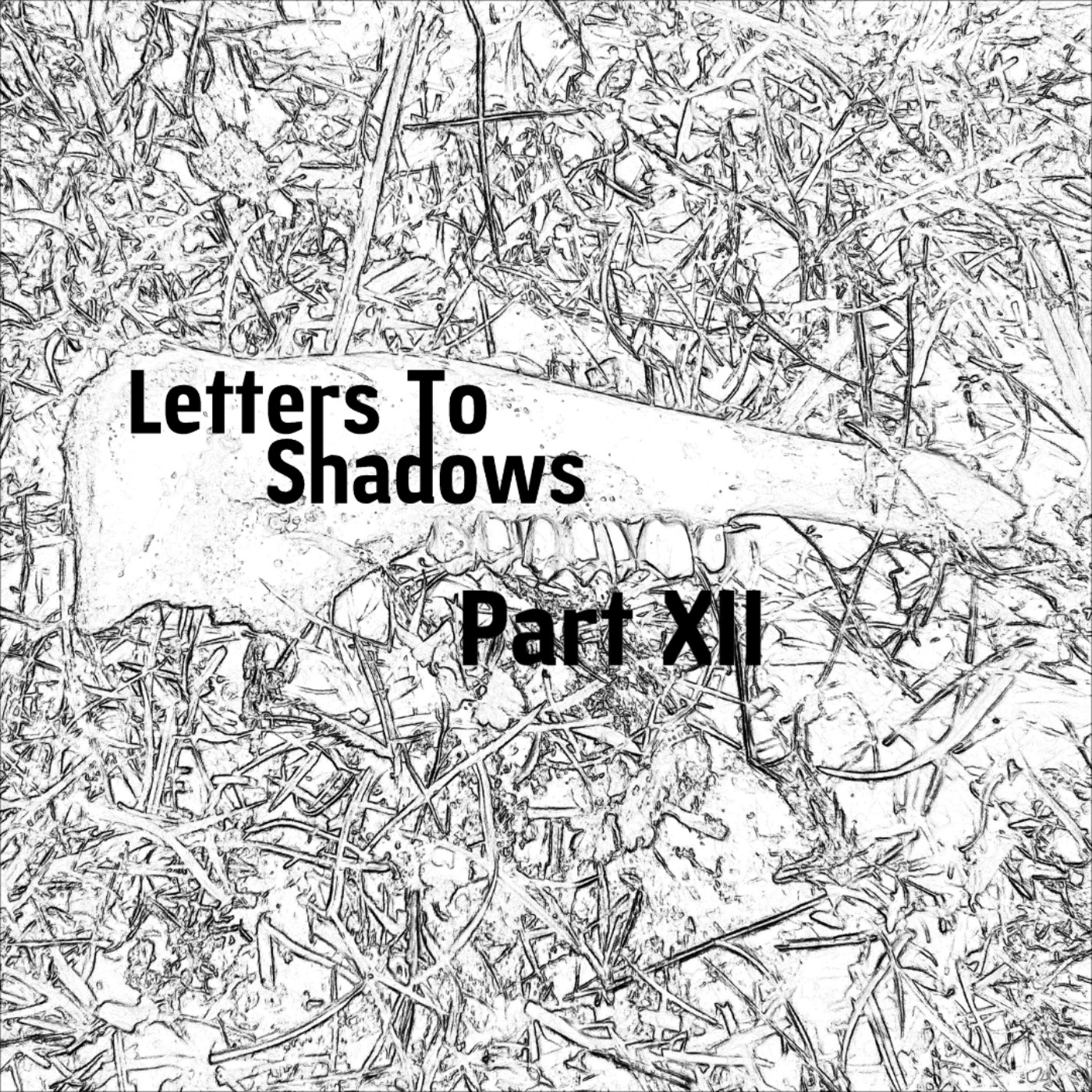 Letters To Shadows - Part XII (Patreon Preview)