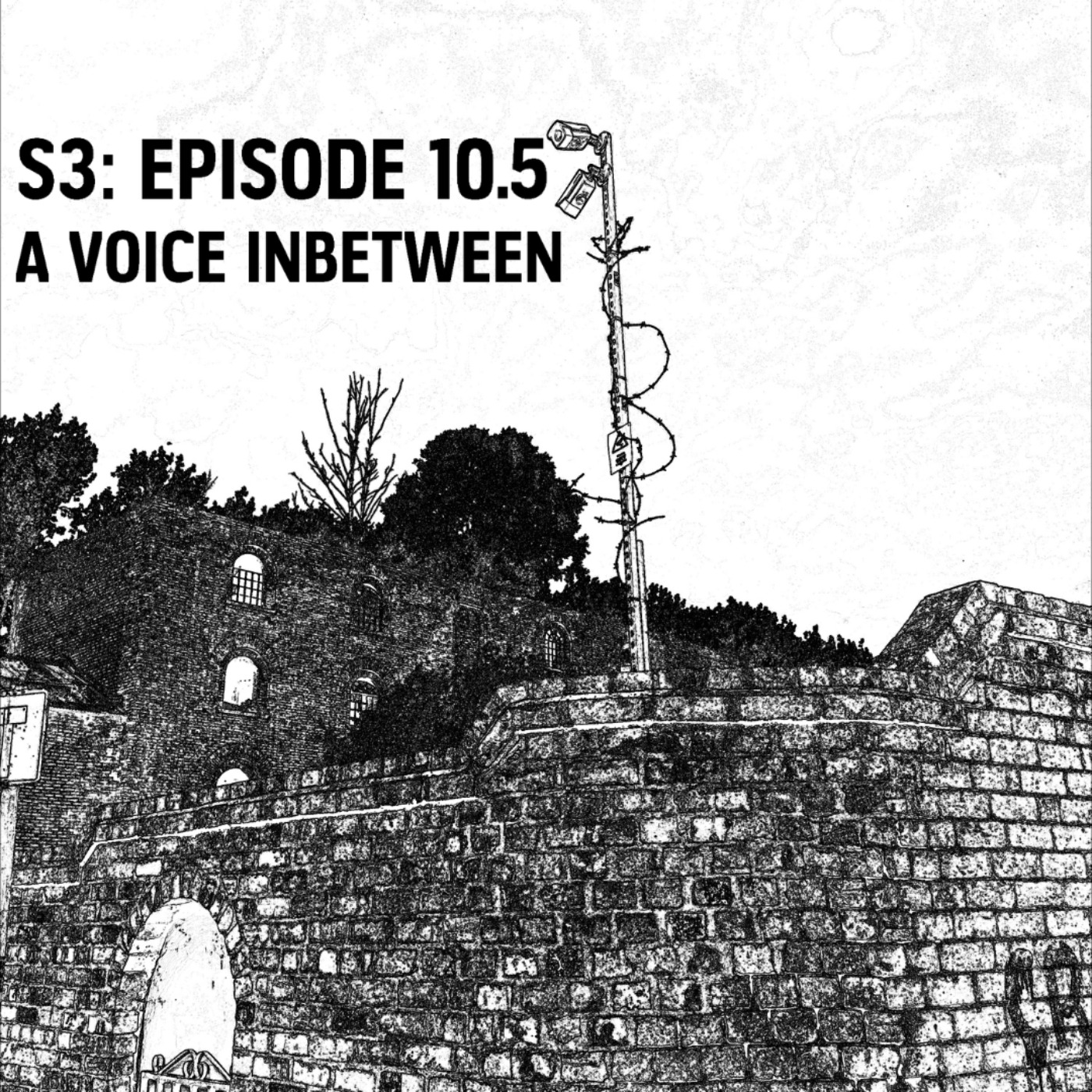 S3: E10.5 - A Voice Inbetween