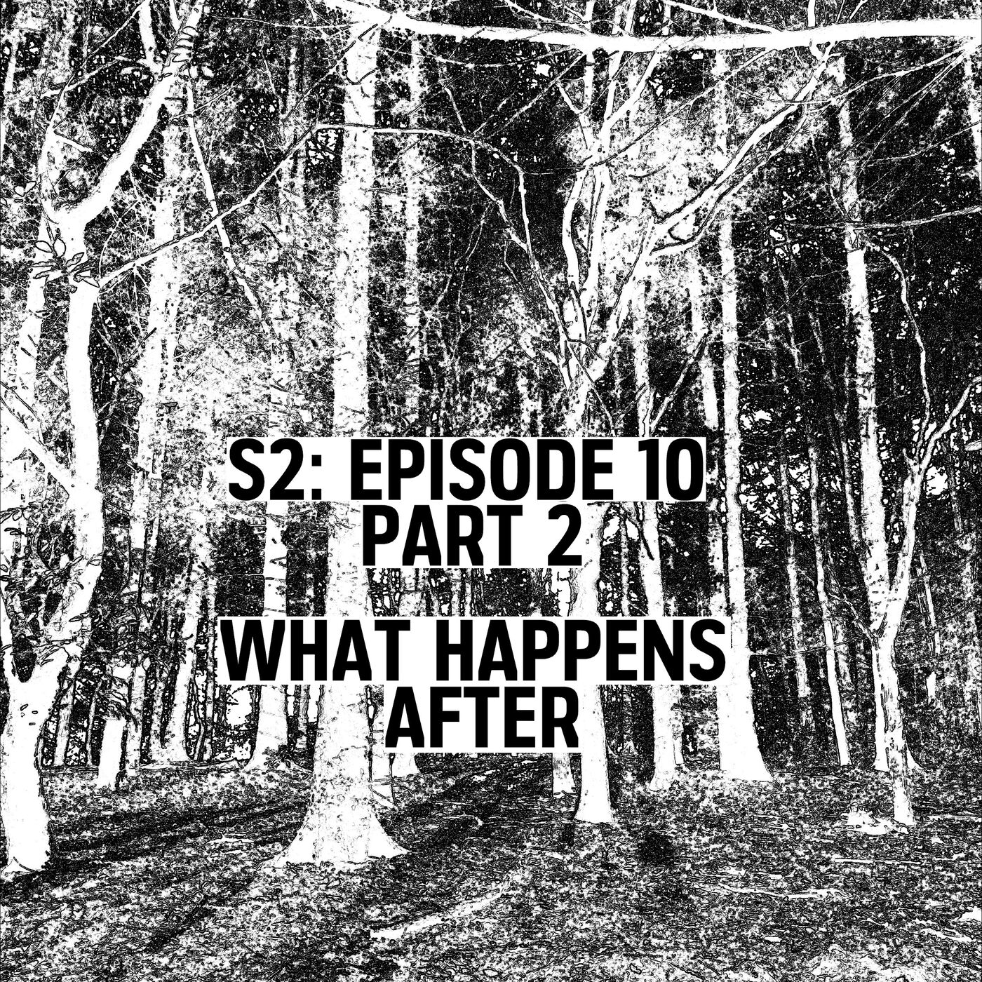 cover art for S2: E10 Part 2 - What Happens After