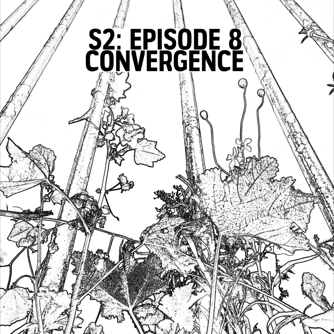 S2: E08 - Convergence