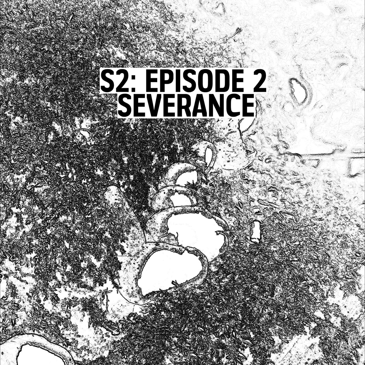 cover art for S2: E02 - Severance
