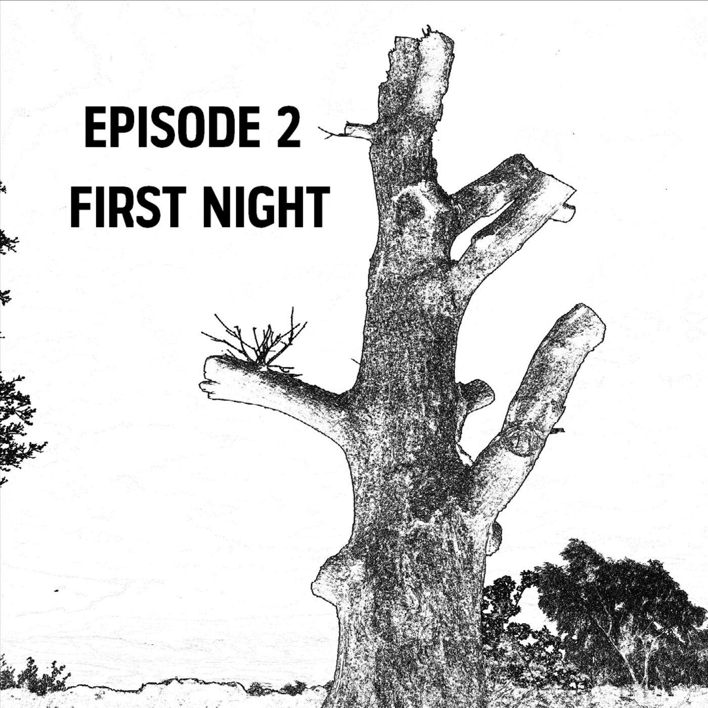 cover art for S1: E02 - First Night