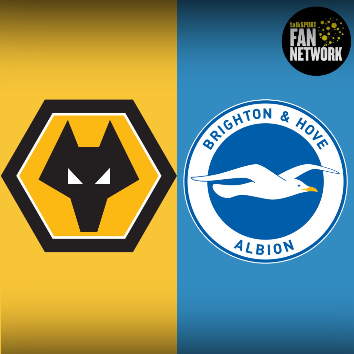 Wolves v Brighton PREVIEW Can Wolves break the bogey team curse this time?