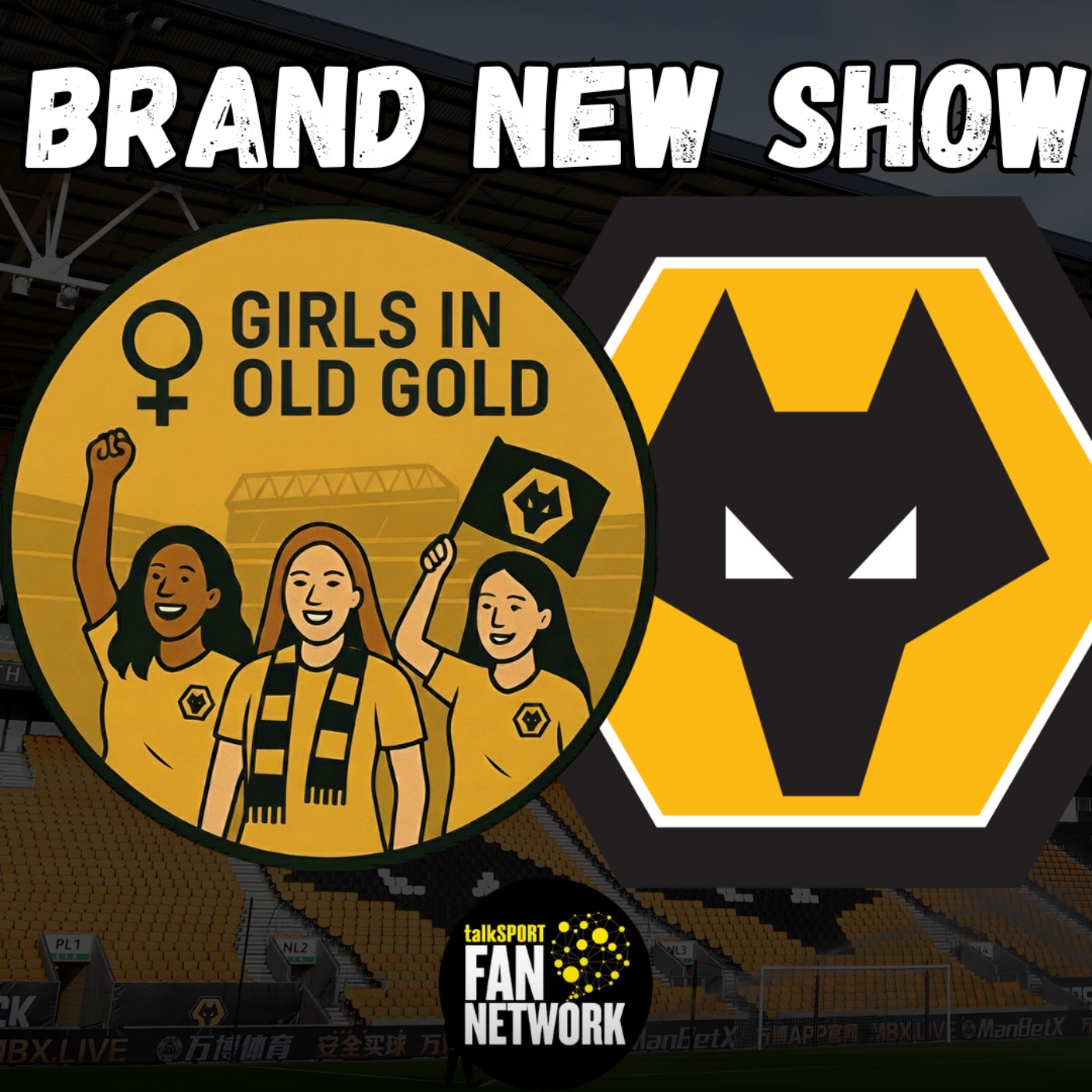 BRAND NEW SHOW 🚨 Discussing All Things Wolves 🐺 GIRLS IN OLD GOLD
