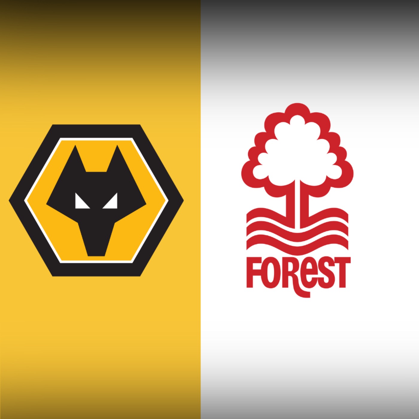 Can Wolves Chop Down the Trees 🤔 WOLVES v FOREST PREVIEW