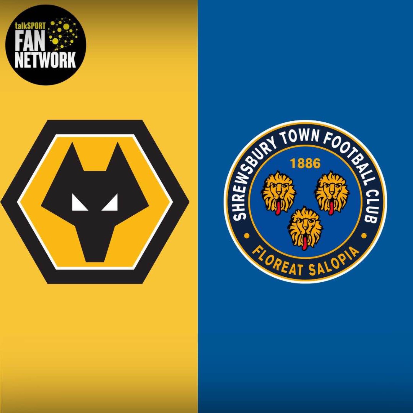 PREVIEW 🏆 Wolves v Shrewsbury FA Cup 3rd Round LATEST + Rob Edwards Press Conference Main Points