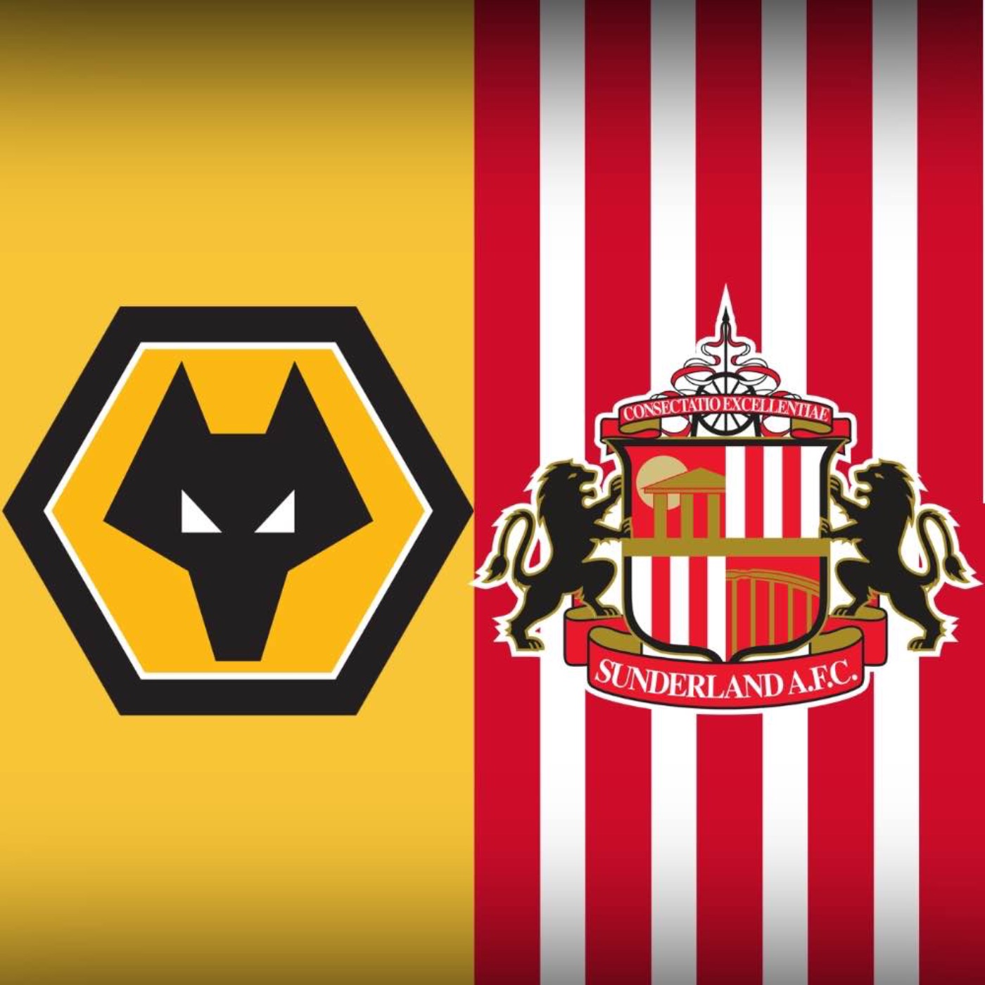Wolves v Sunderland MATCH PREVIEW