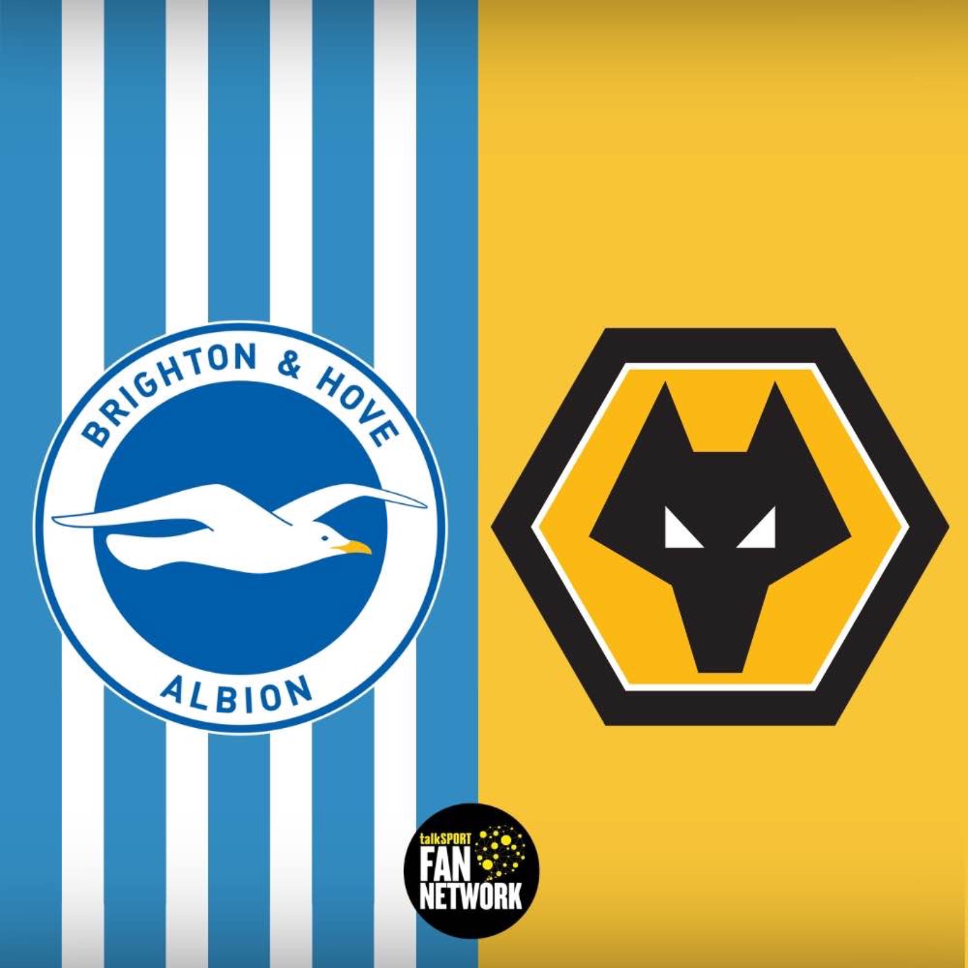Can Wolves Break the Seagulls Bogey? MATCH PREVIEW Brighton v Wolves
