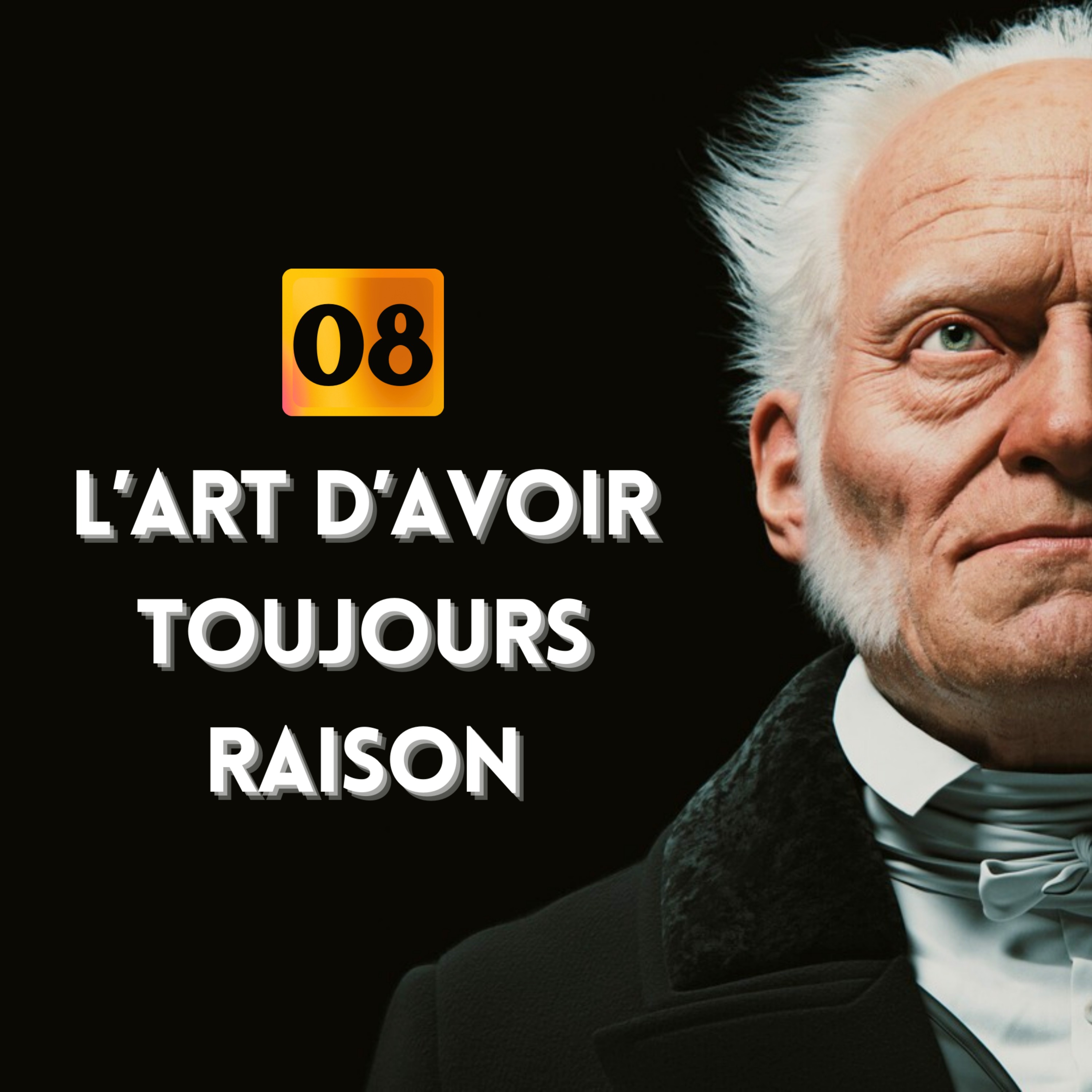 Narguez votre adversaire pour mieux le dominer | Schopenhauer - Stratagème #8 episode artwork