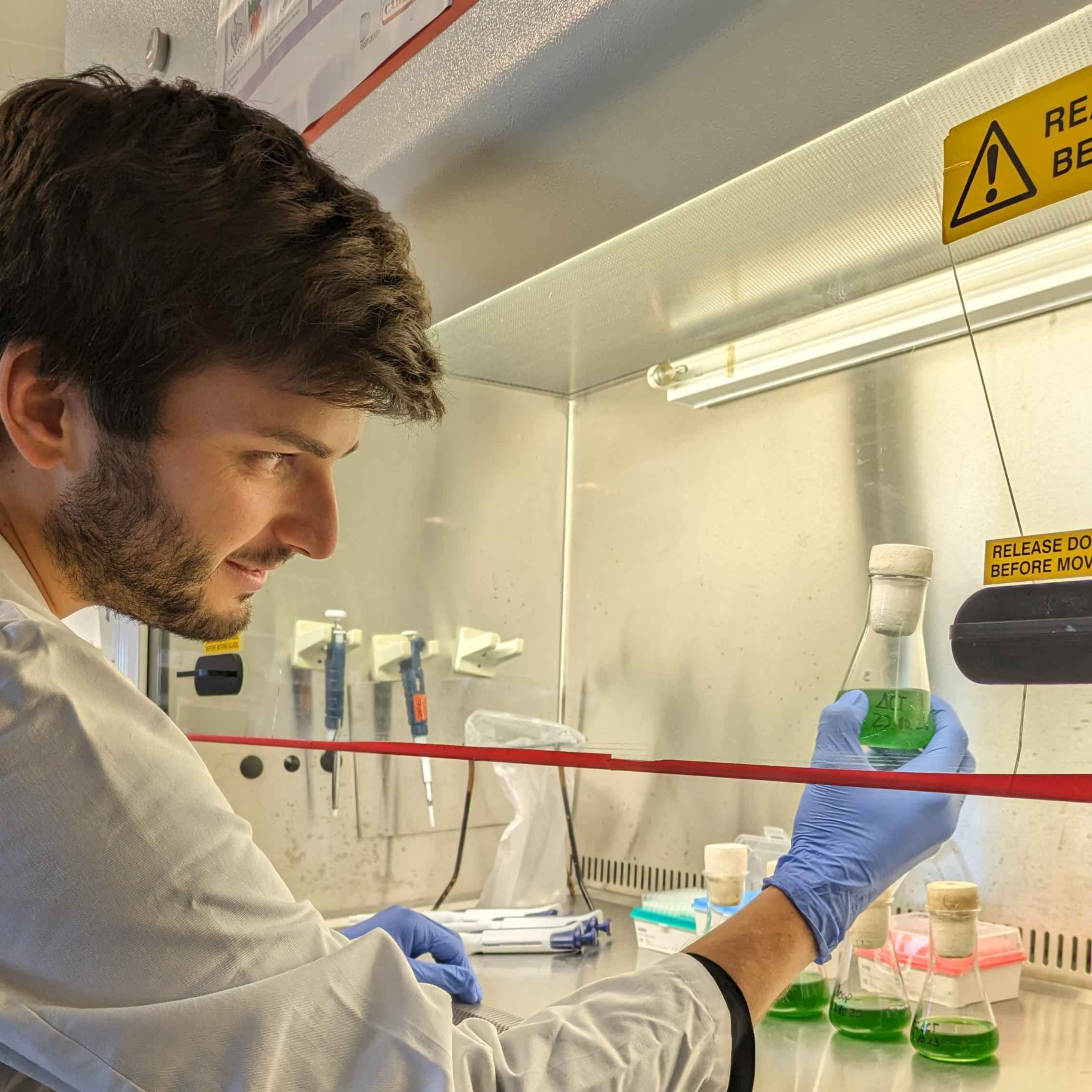 I am Scientist
