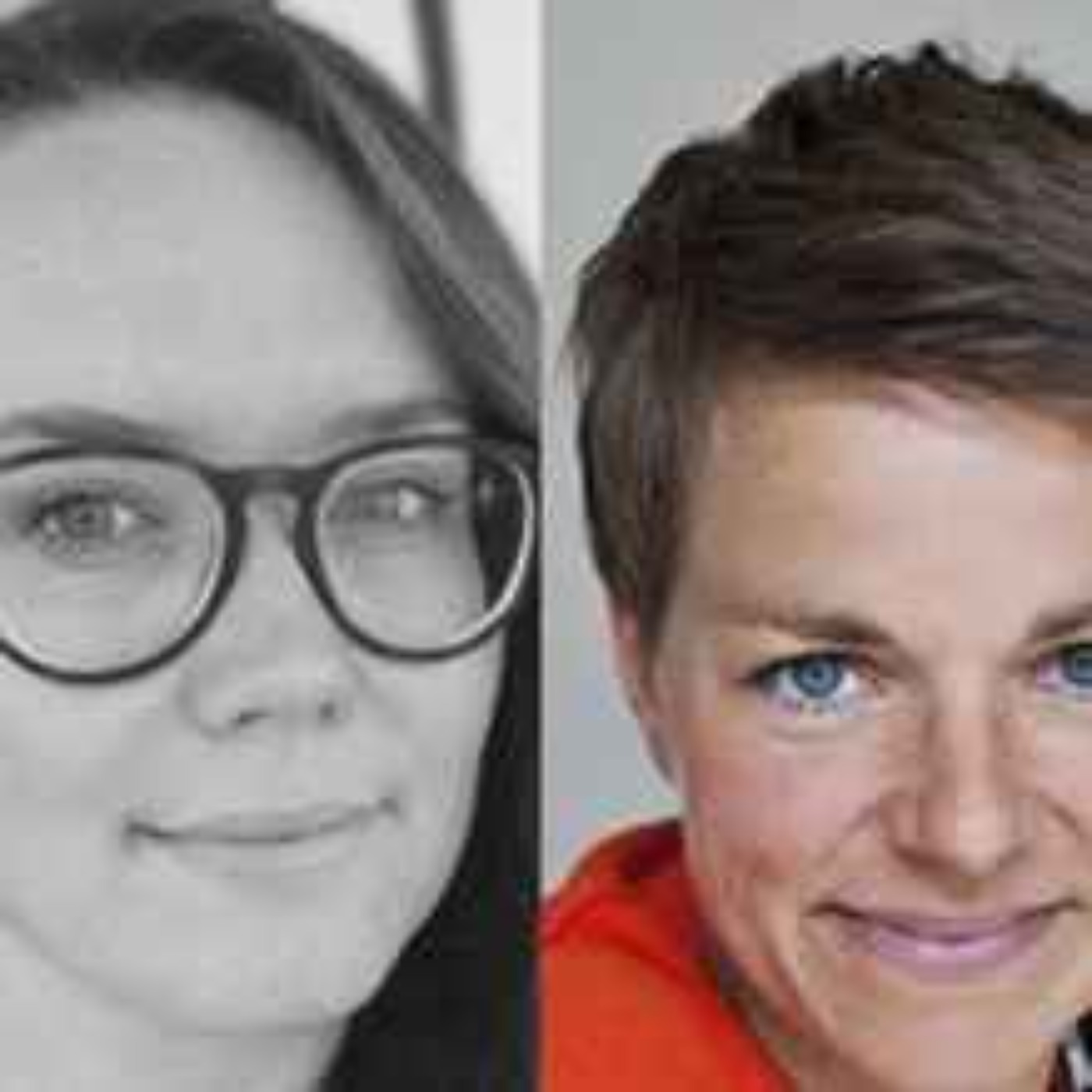 Navigating a changing Arctic: toward adaptive governance in Greenland and Svalbard