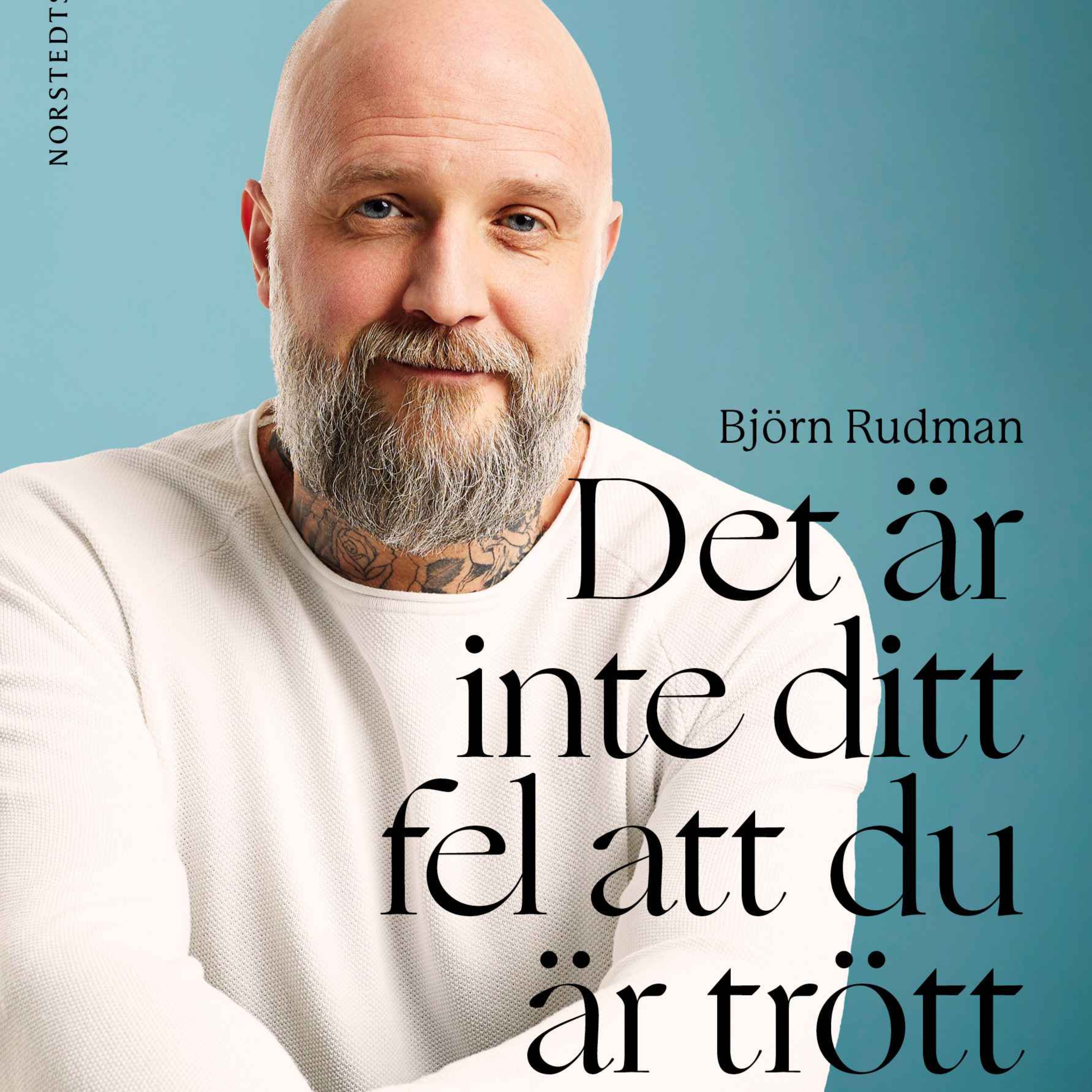 Ny bok av Björn Rudman - 