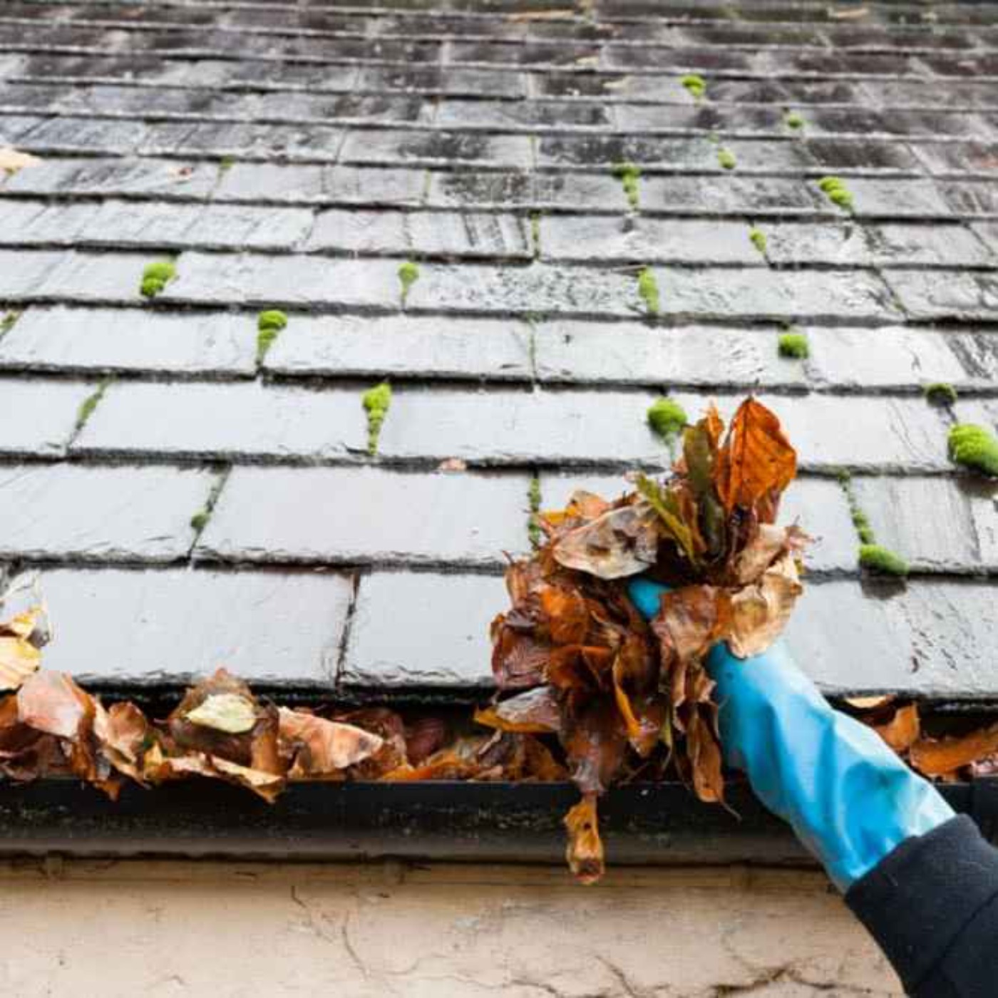 Ease Your Pane Window Cleaning\'s Podcast