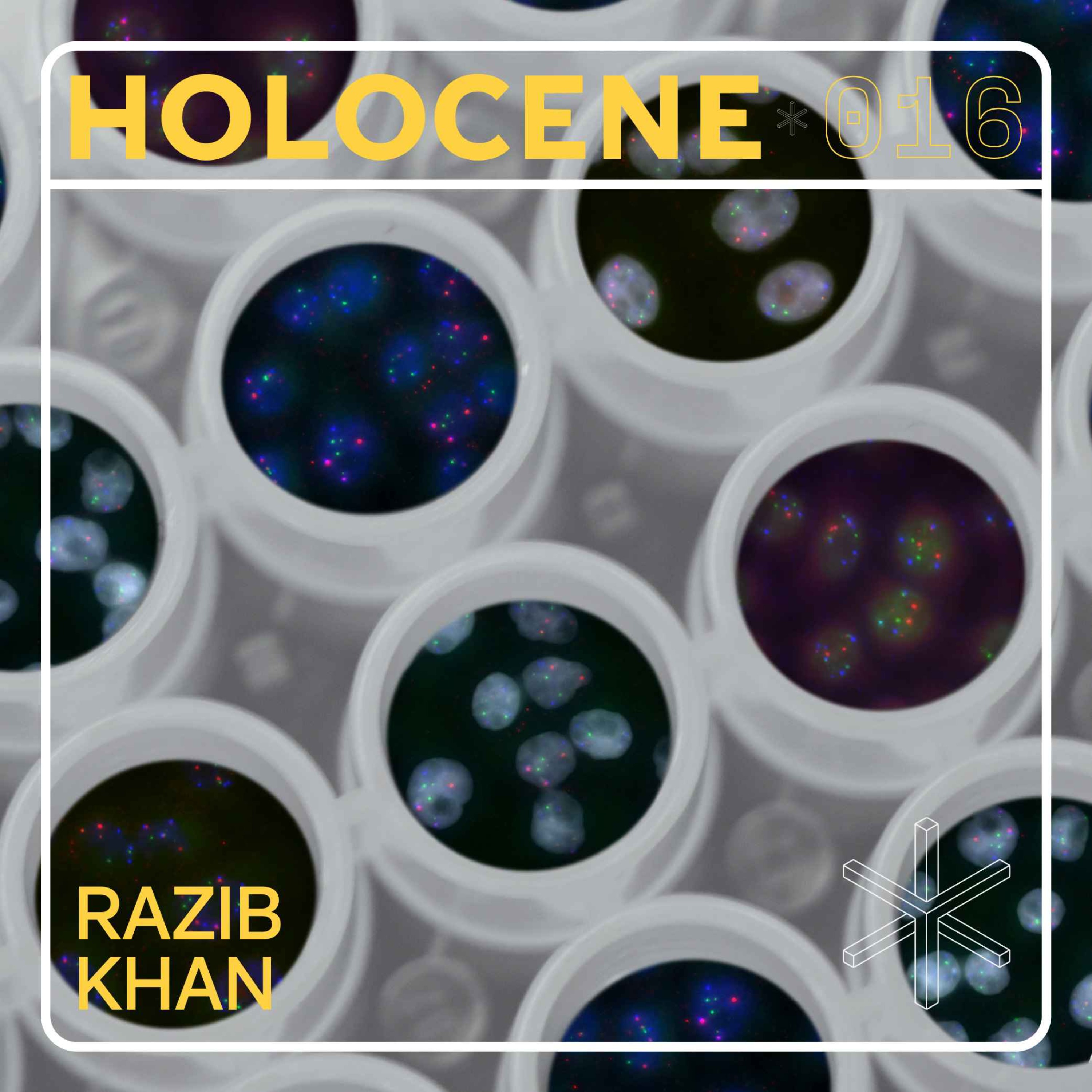 HOLOCENE