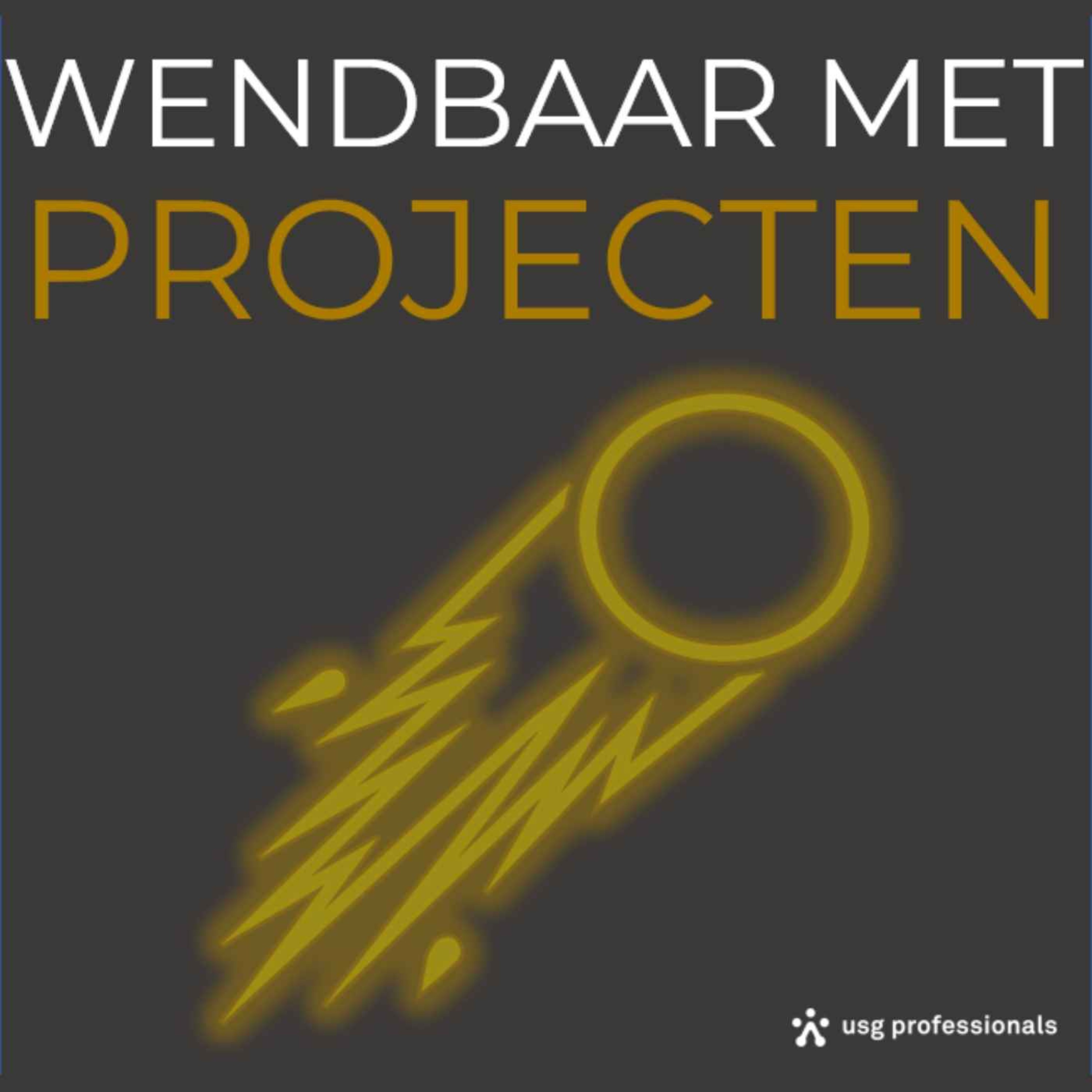 cover art for Wendbaar met projecten #3 - Danny Van Driessen, Directeur Informatietechnologiediensten RGF Staffing (NL)