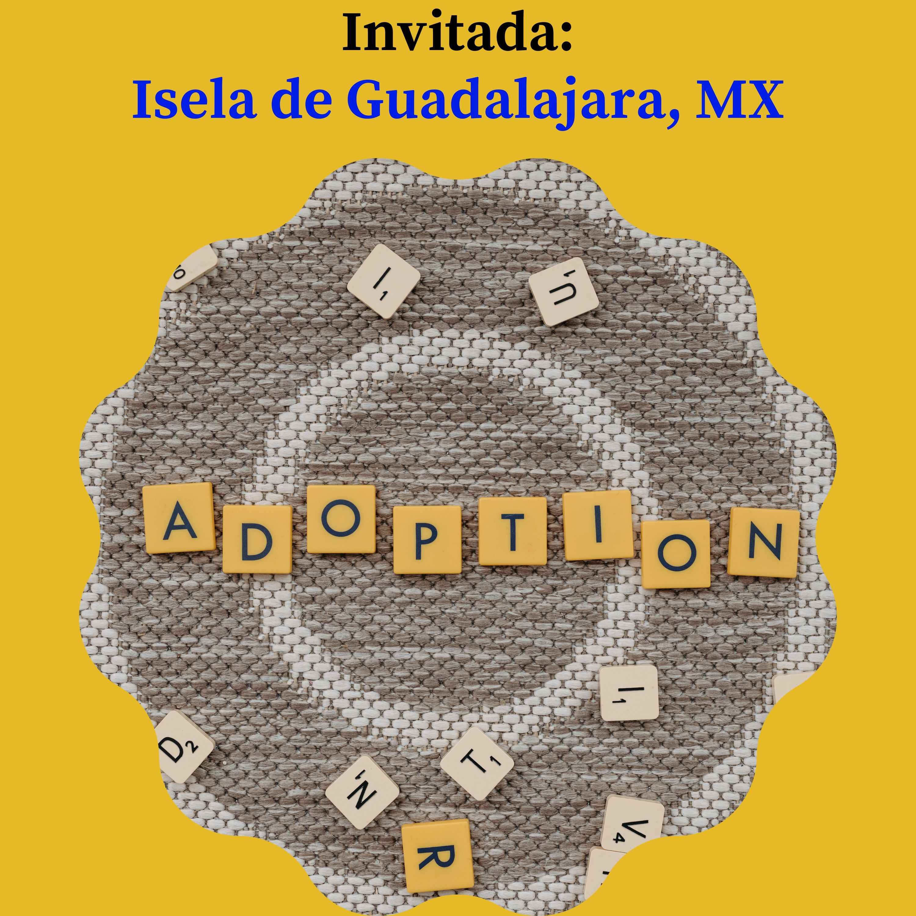 cover art for La adopción en México