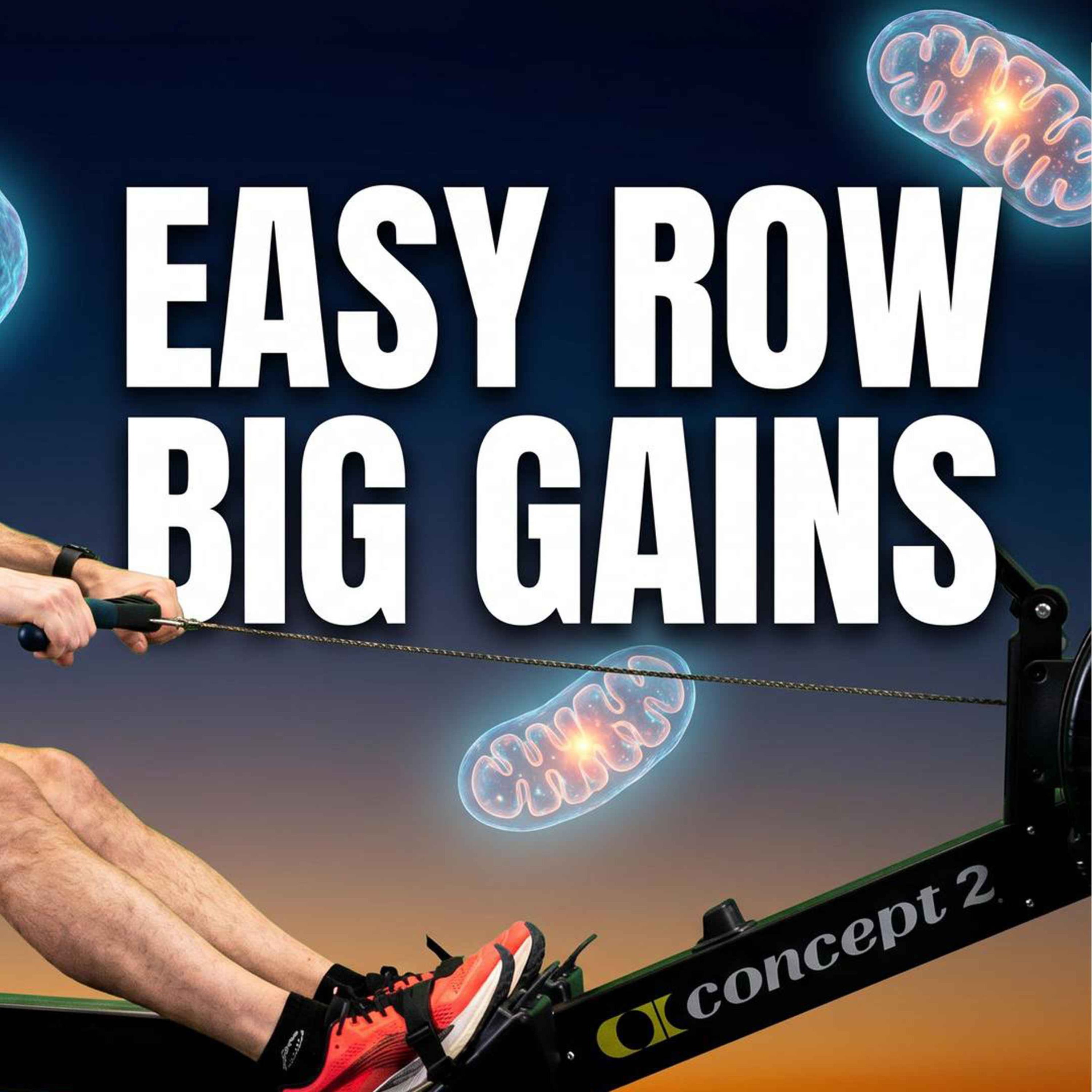 May 07:  Zone 2 Rowing: Why Going Easy Builds More Fitness Than Going Hard episode artwork