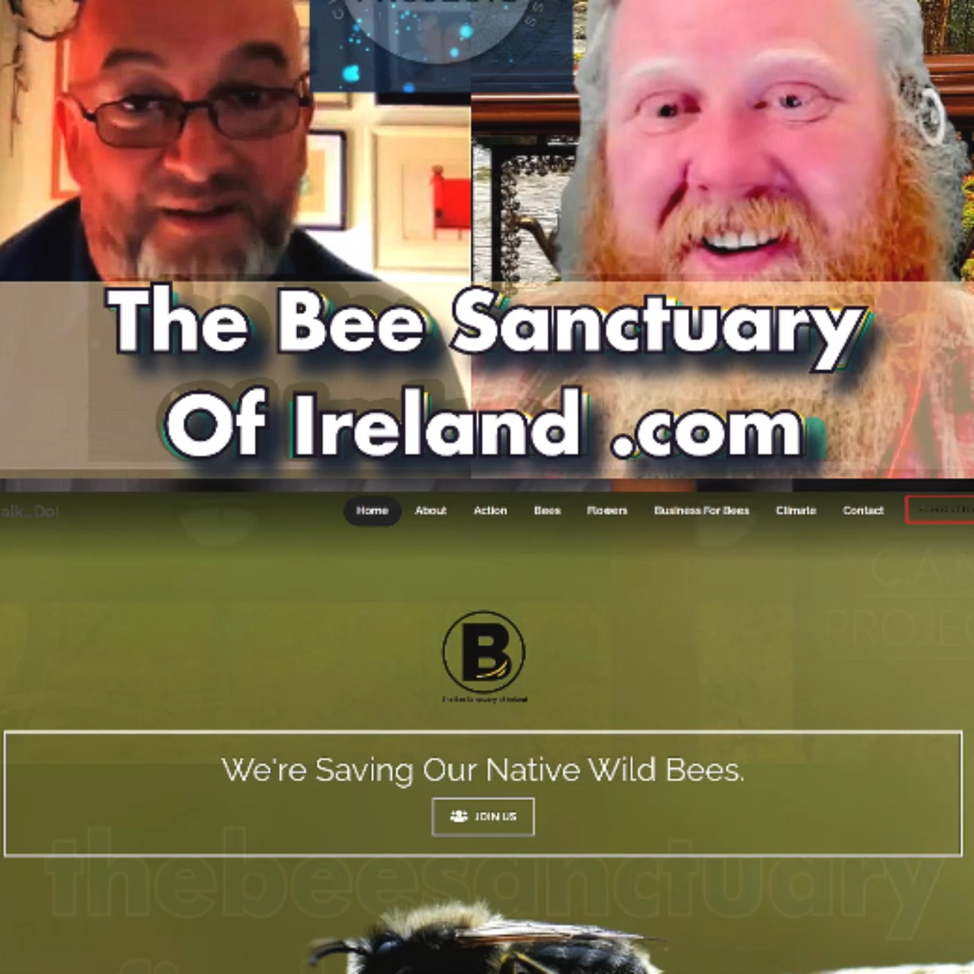 cover art for Saving Bees The Bee Sanctuary of Ireland clip1