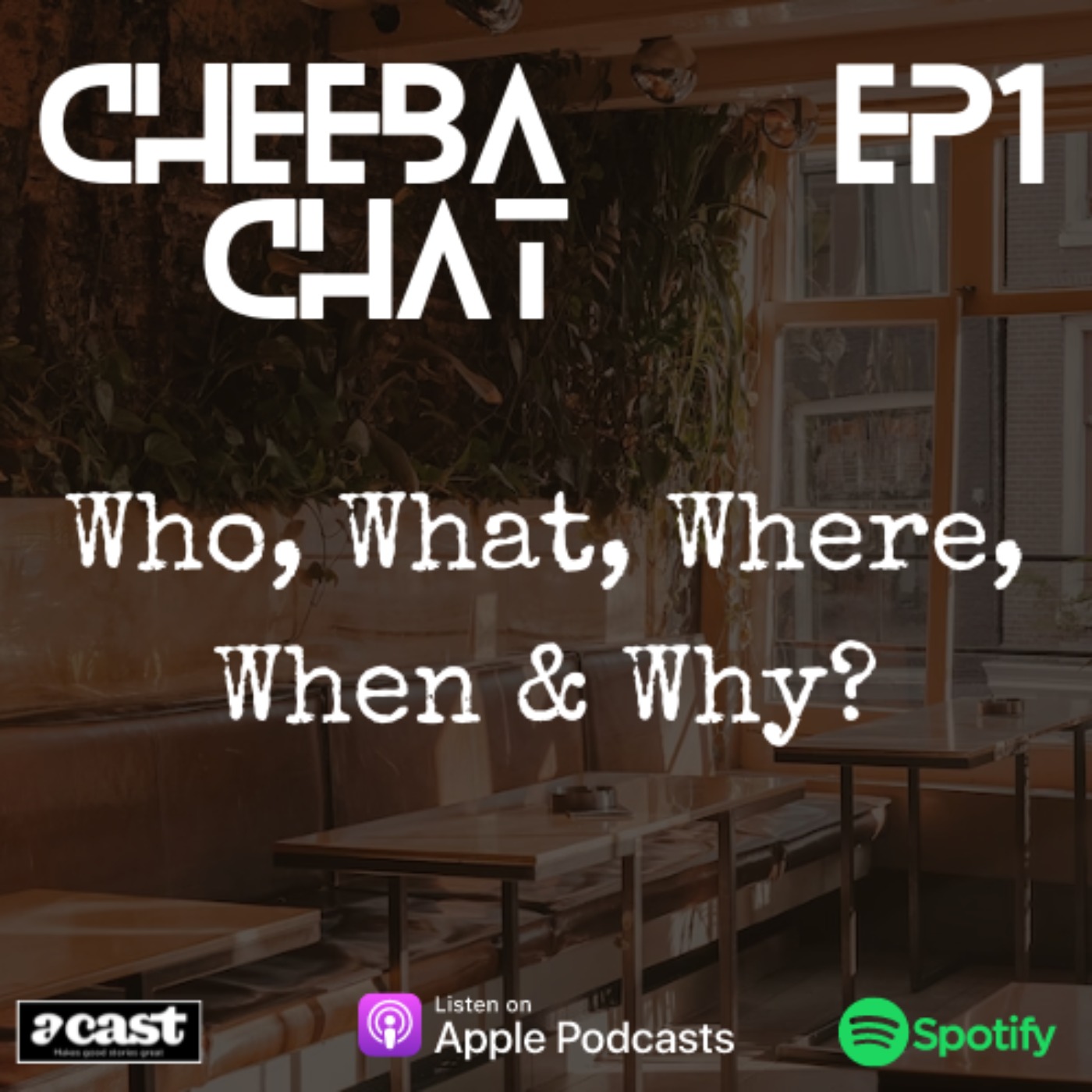 Ep 1 - Who, what, where, when and why?