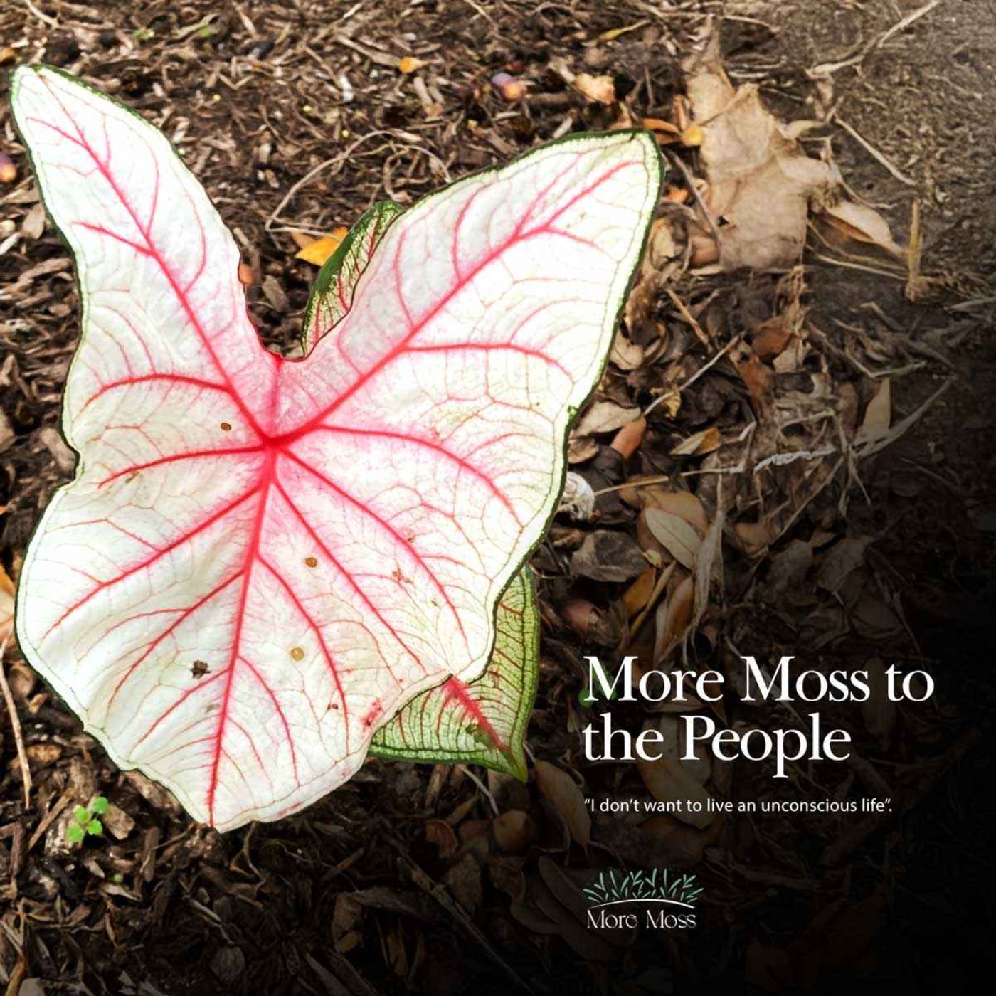 More Moss to the People