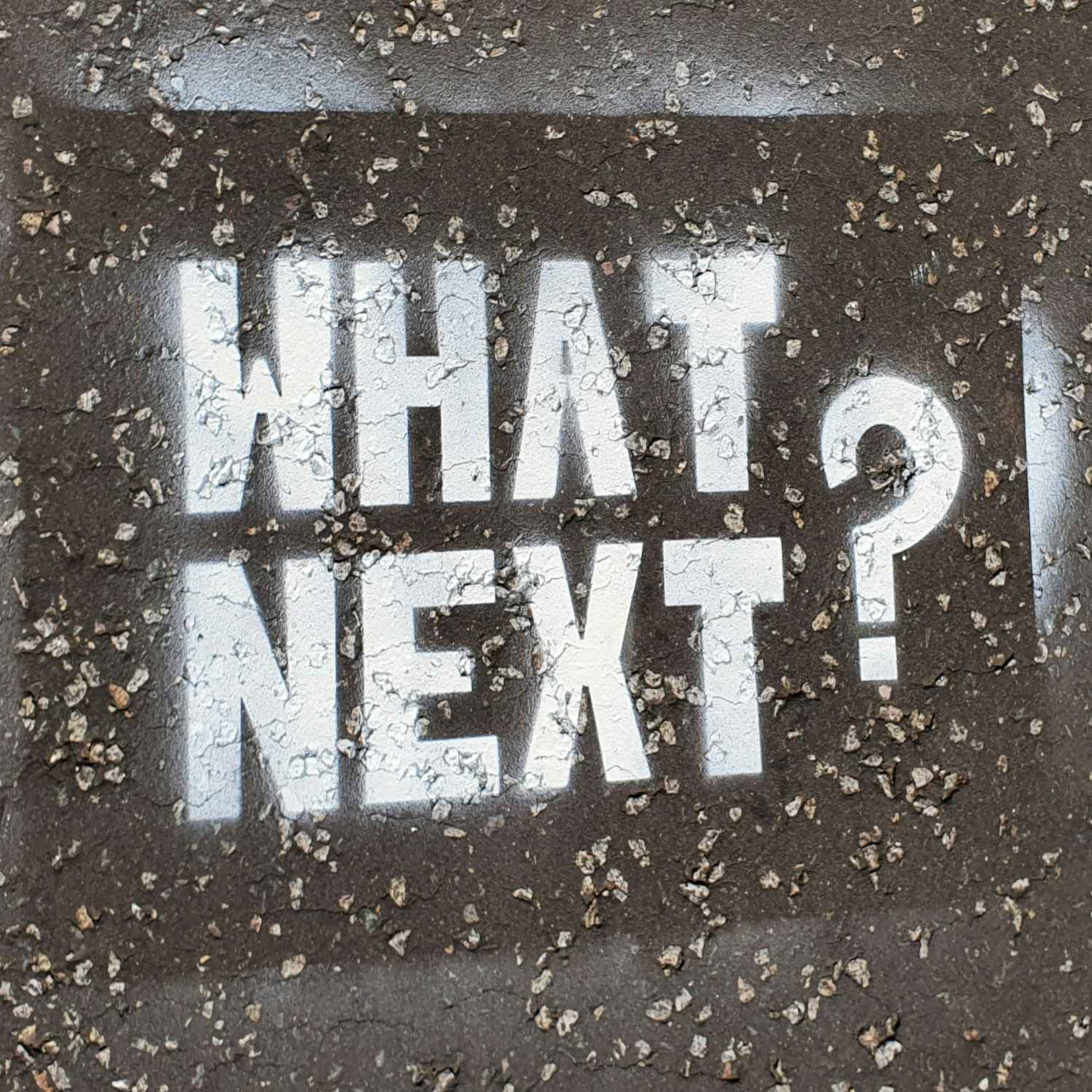 The Next Episode episode artwork