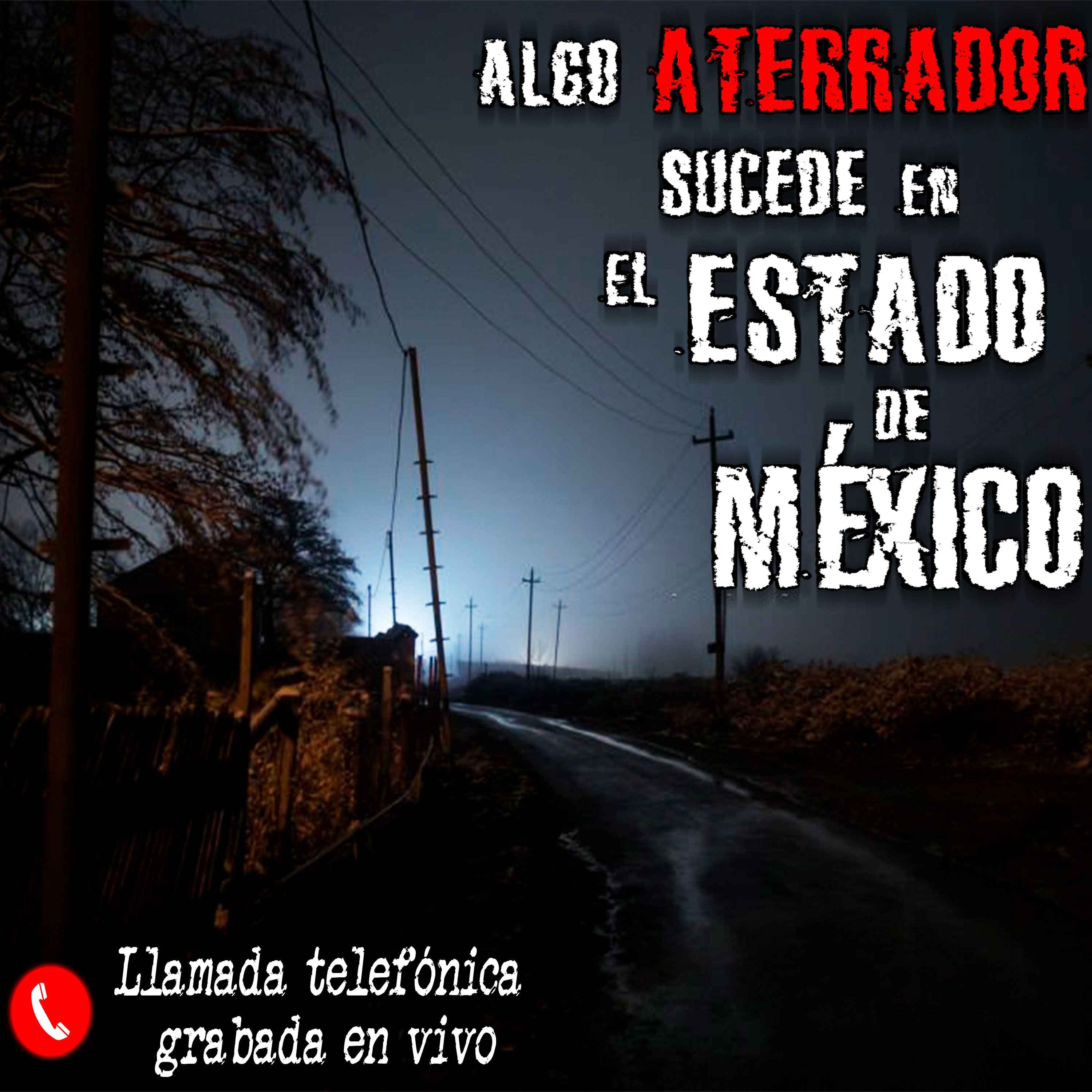 La Gárgola de Tecámac, Estado de México