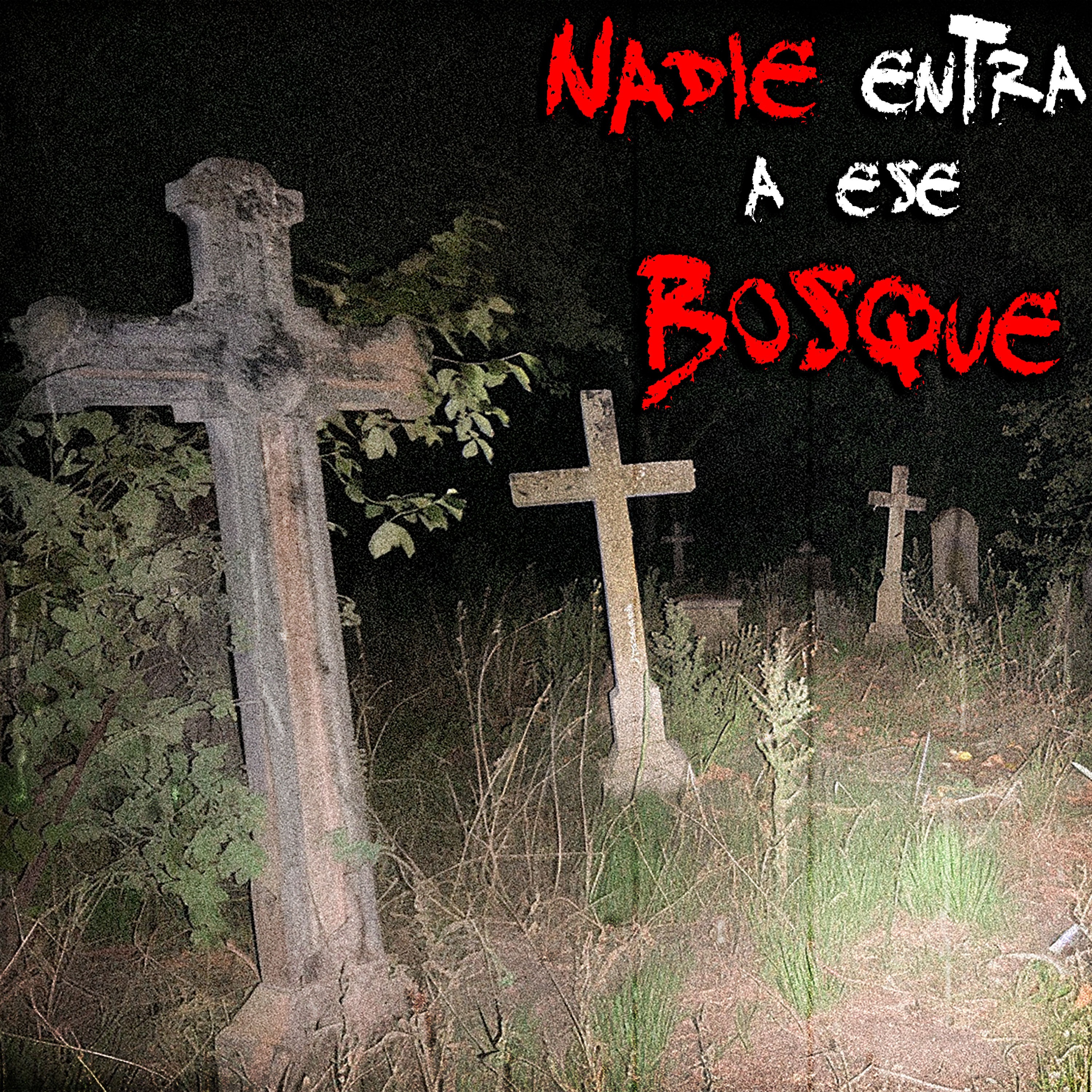 NO VAYAS al CEMENTERIO MALDITO en el BOSQUE episode artwork