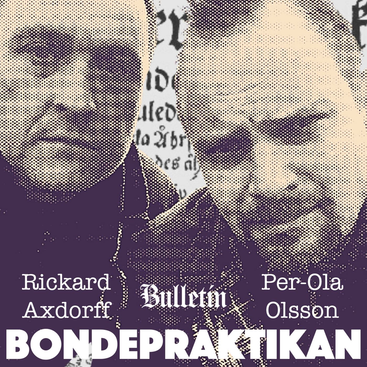 Bondepraktikan