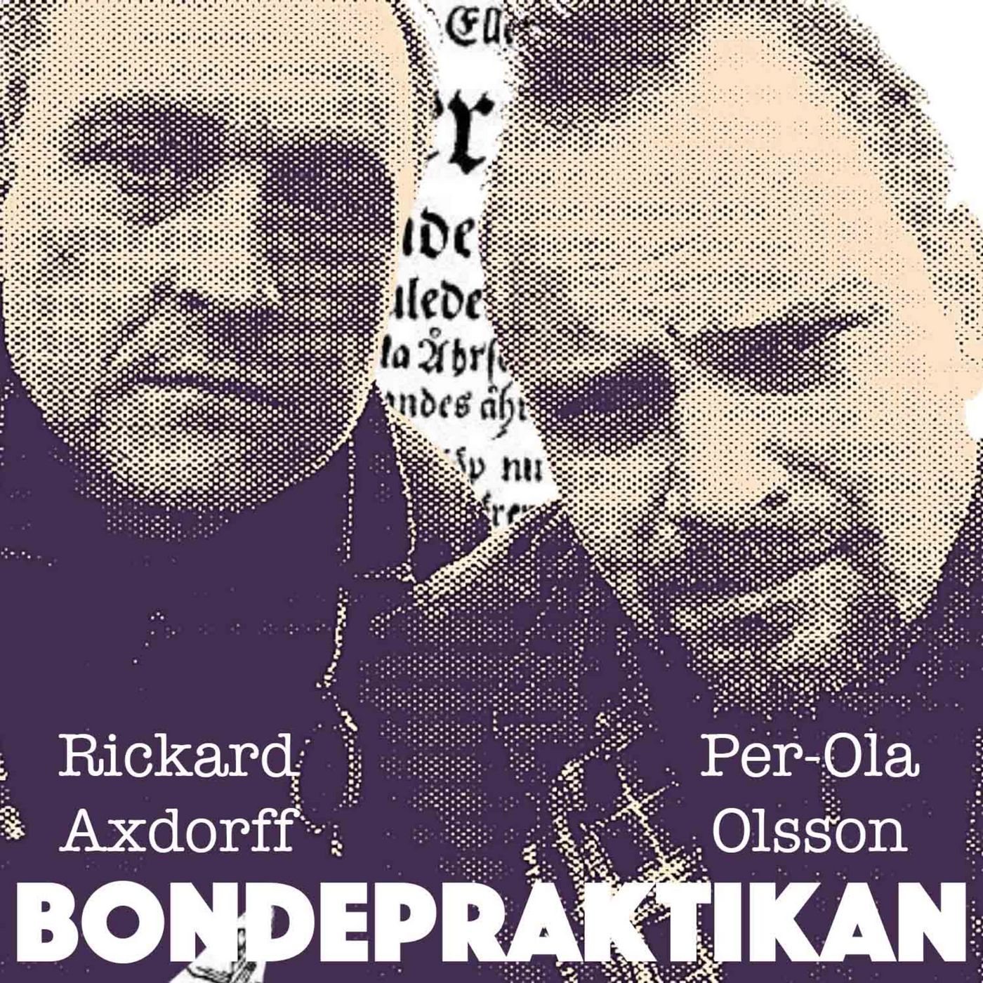 Bondepraktikan