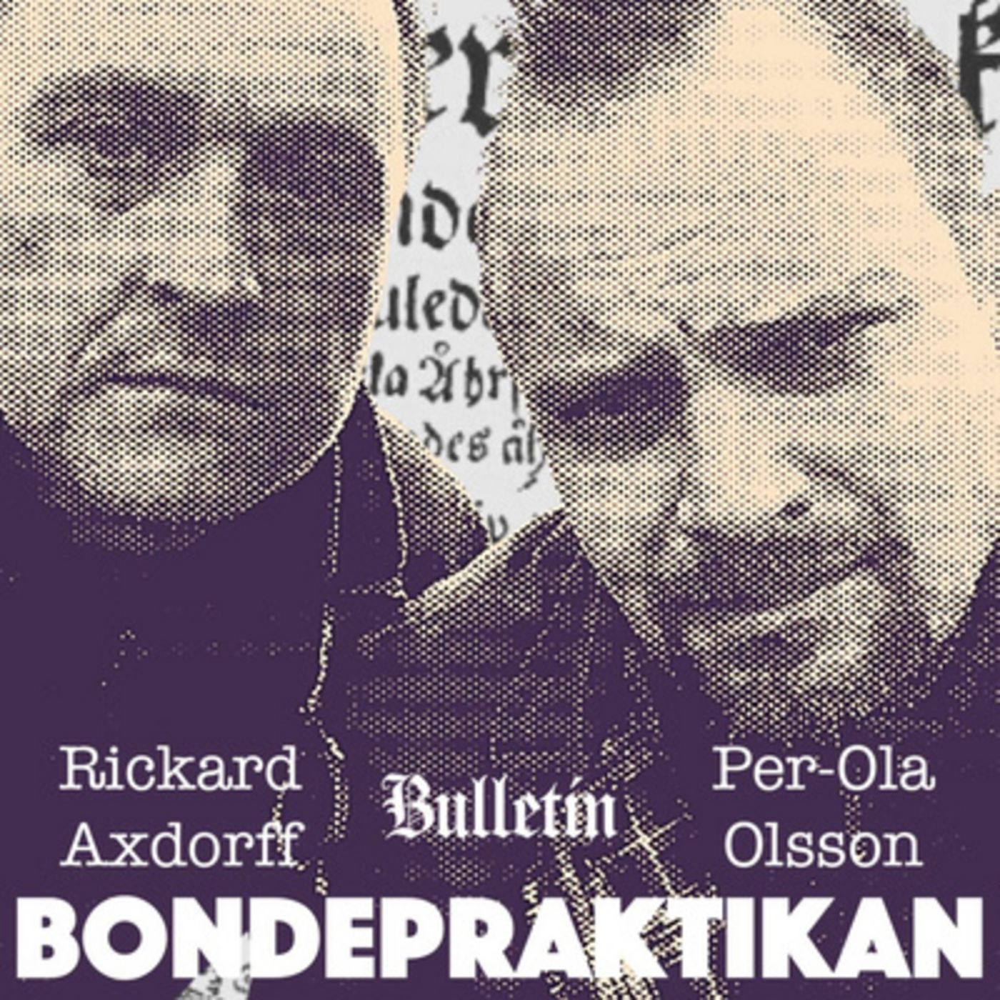 Bondepraktikan